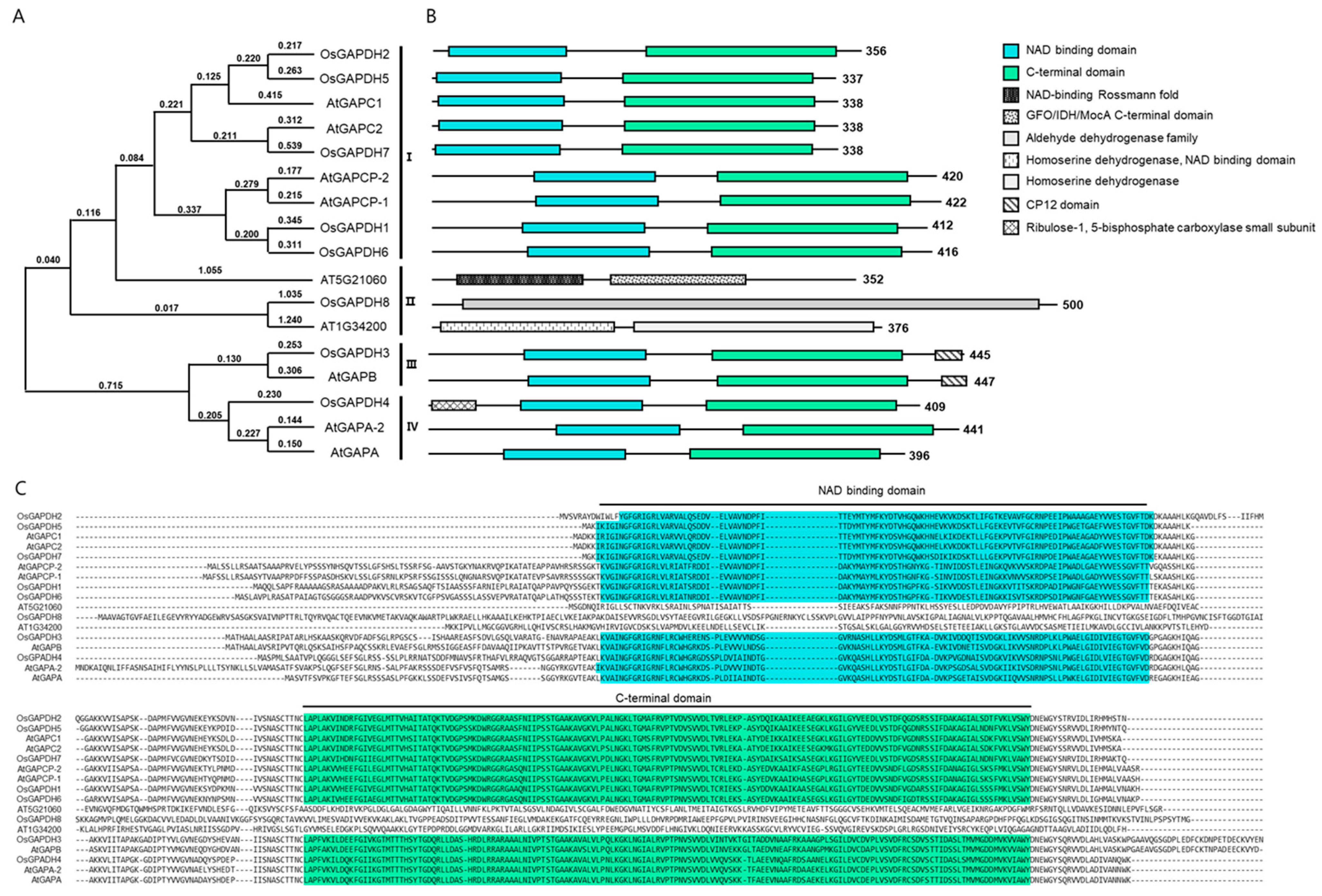 Ijms 25 12470 g001 Ijms 25 12470 g001