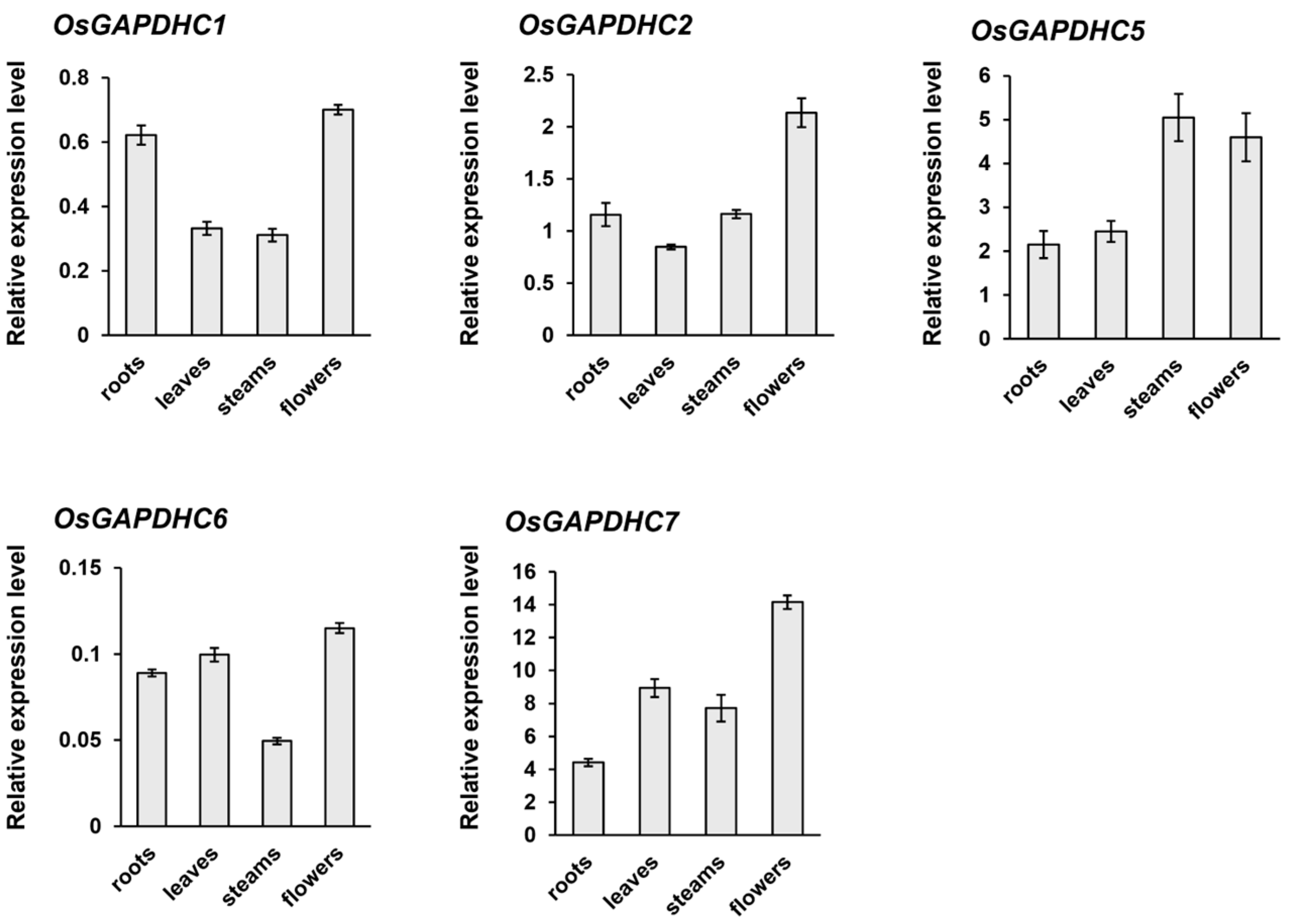 Ijms 25 12470 g002 Ijms 25 12470 g002