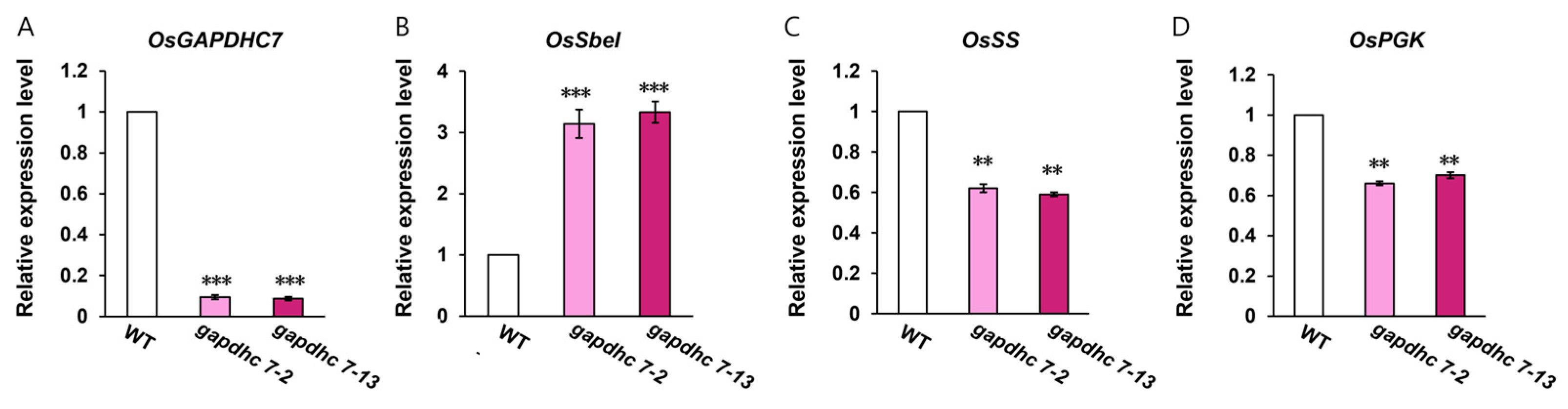 Ijms 25 12470 g005 Ijms 25 12470 g005