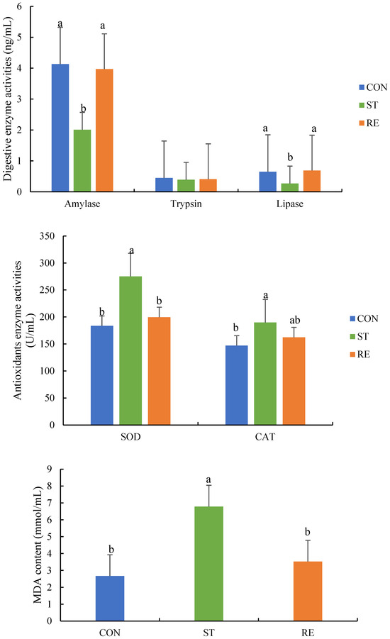 Microbiome–Metabolomics Analysis Insight into the Effects of