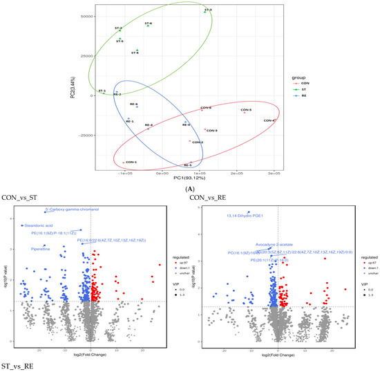 Microbiome–Metabolomics Analysis Insight into the Effects of