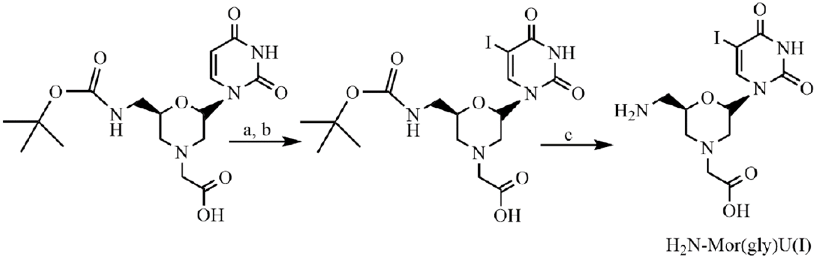 Ijms 25 12526 sch001