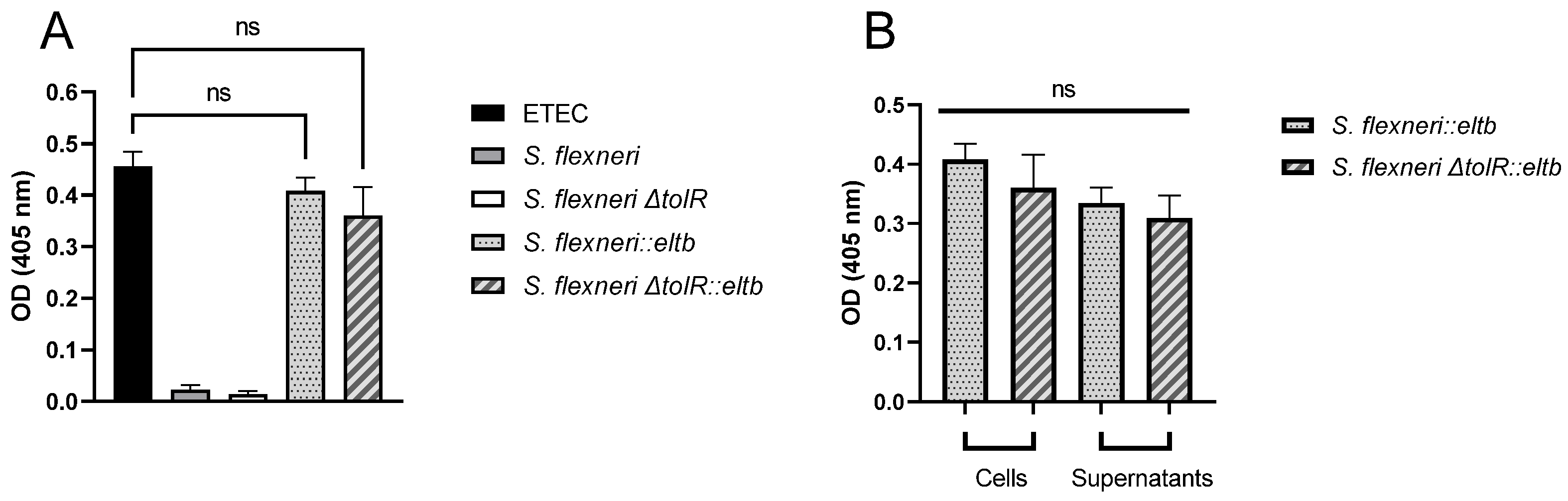 Ijms 25 12535 g001 Ijms 25 12535 g001