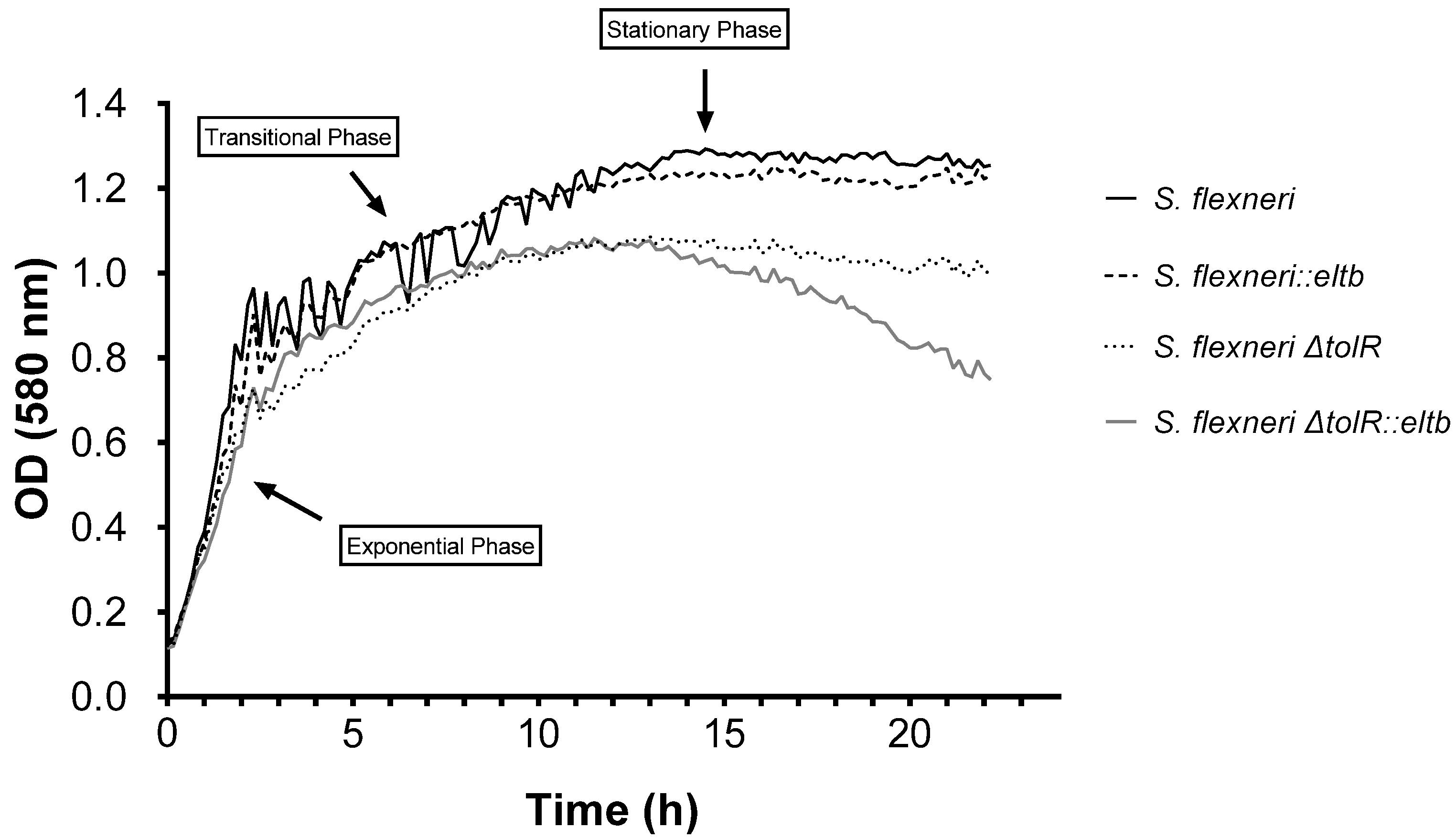 Ijms 25 12535 g005 Ijms 25 12535 g005