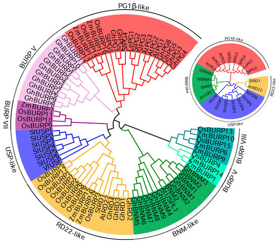 サイエンス！ Rare Diseases: Drug Discovery and Informatics Resource