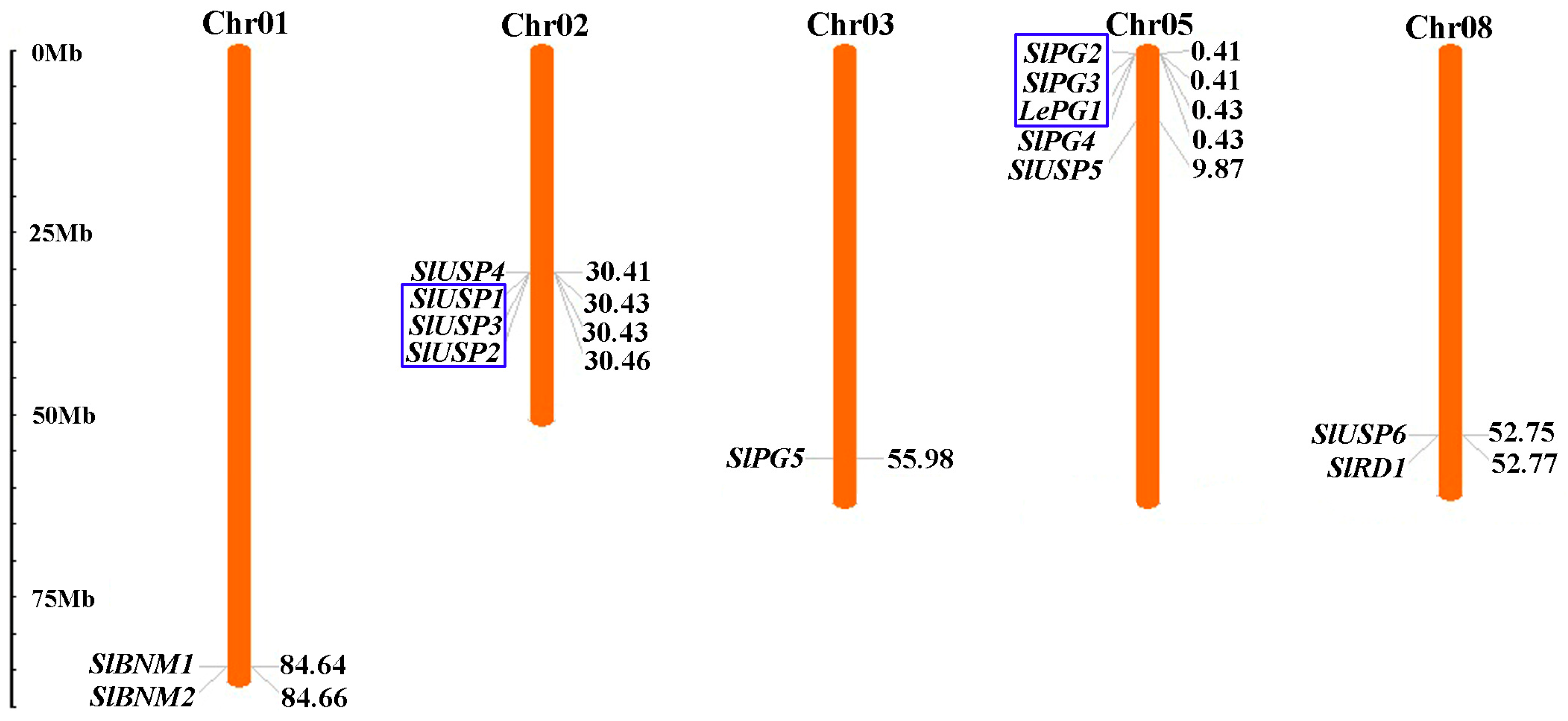 Ijms 25 12539 g002 Ijms 25 12539 g002