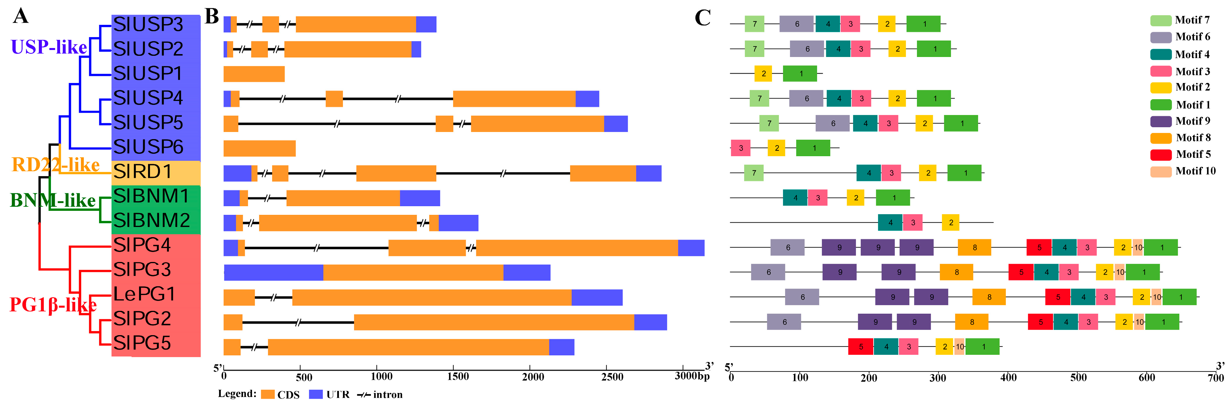Ijms 25 12539 g003 Ijms 25 12539 g003