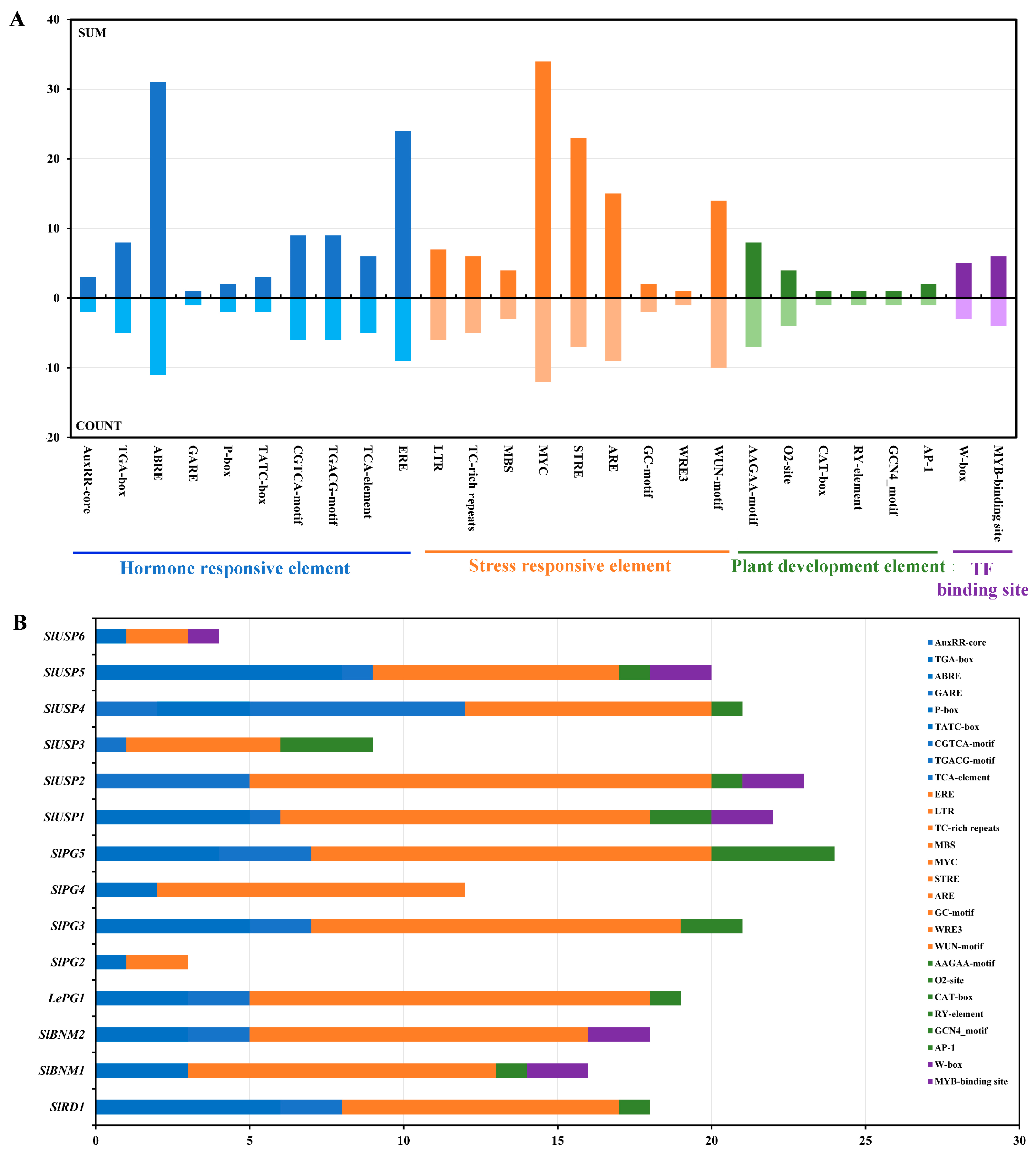 Ijms 25 12539 g004 Ijms 25 12539 g004