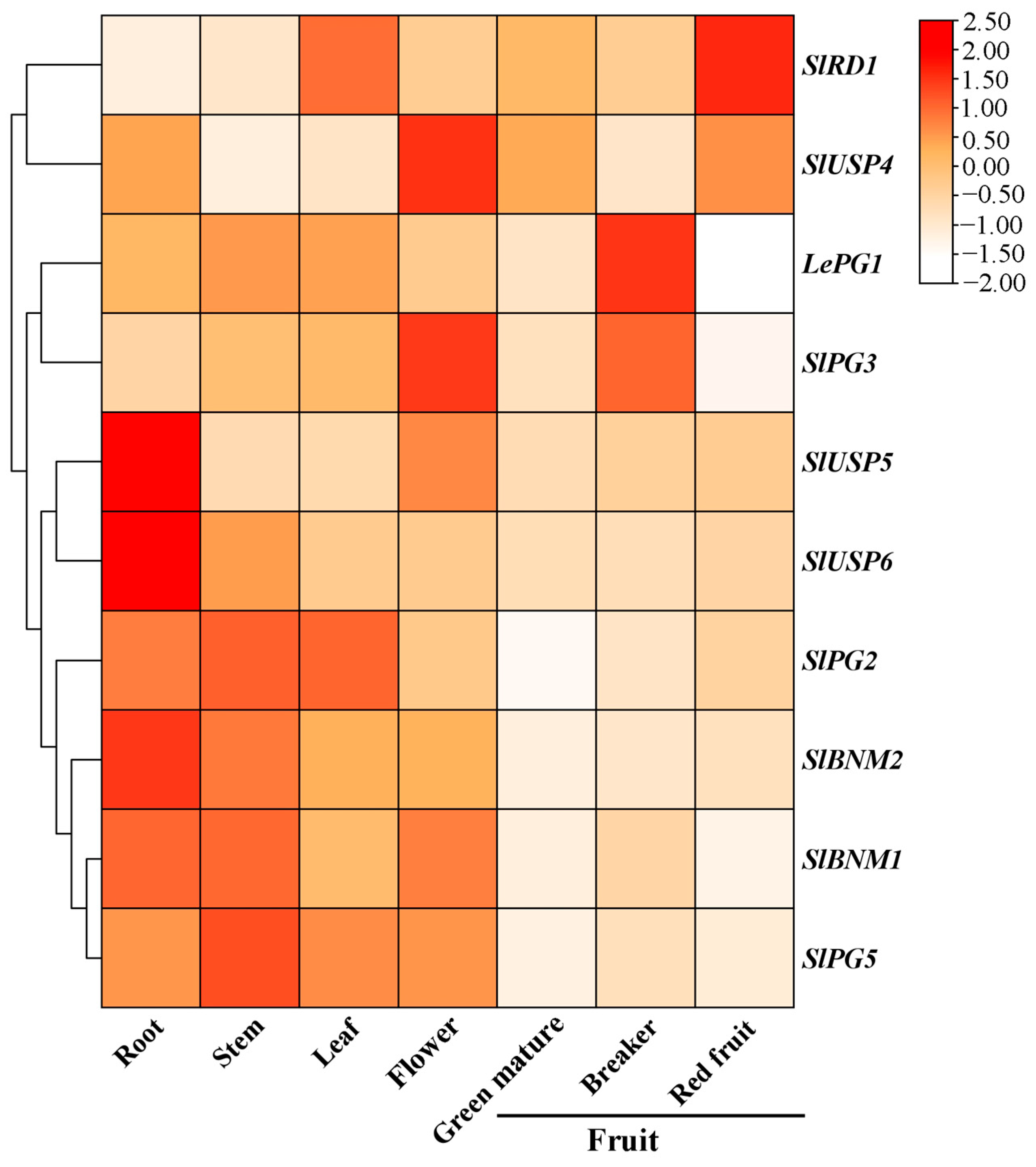 Ijms 25 12539 g005 Ijms 25 12539 g005