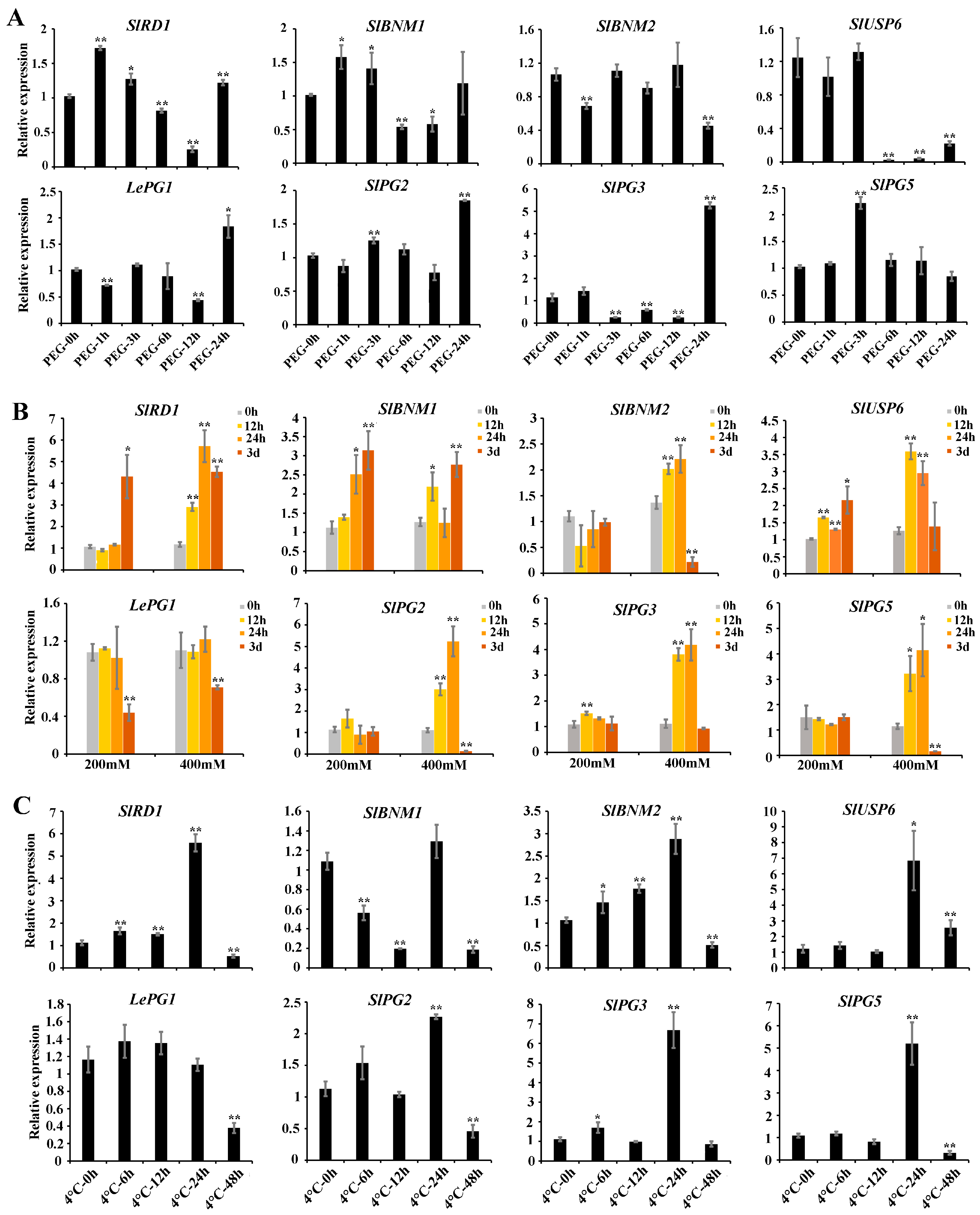 Ijms 25 12539 g006 Ijms 25 12539 g006