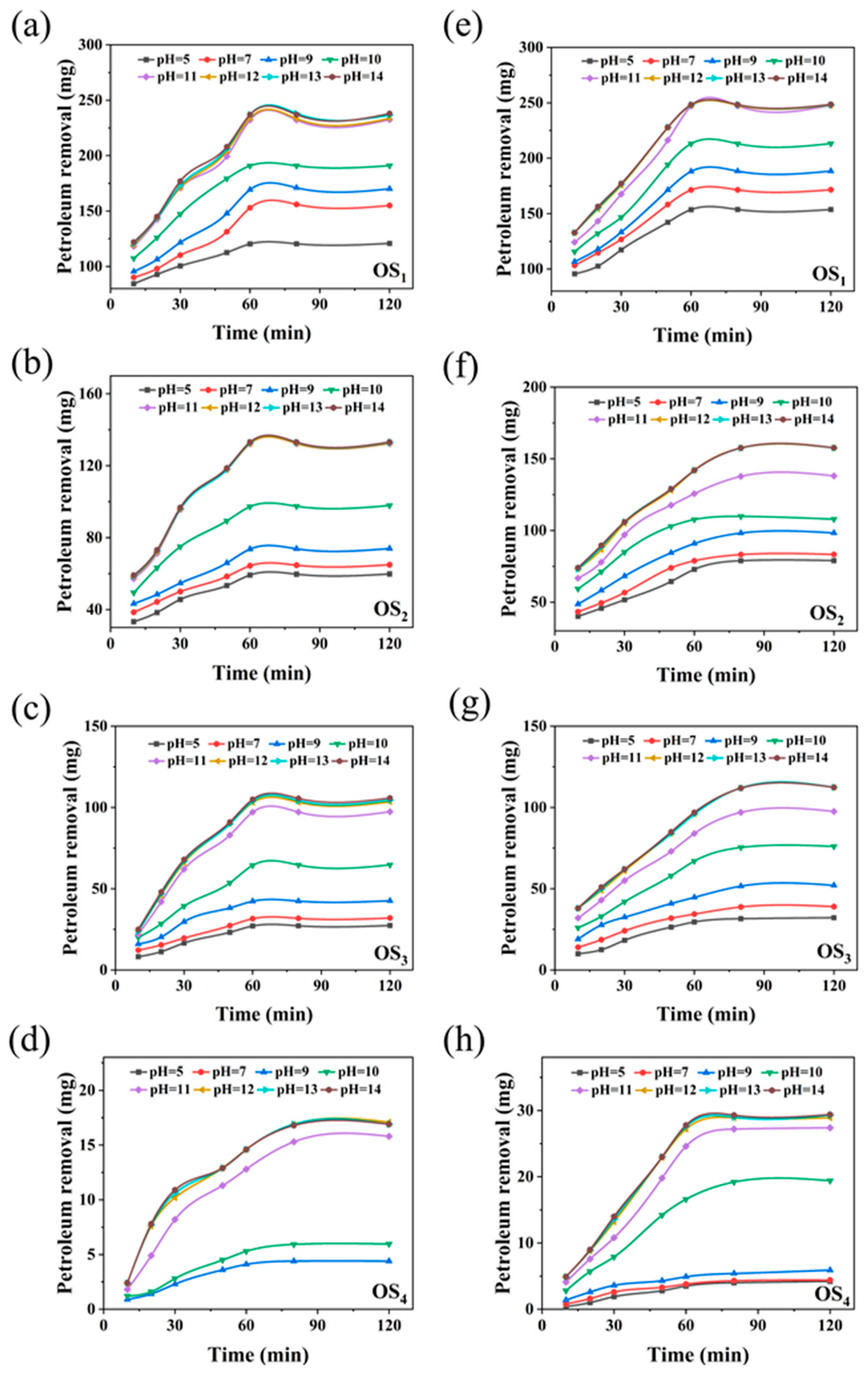 Ijms 25 12542 g001 Ijms 25 12542 g001