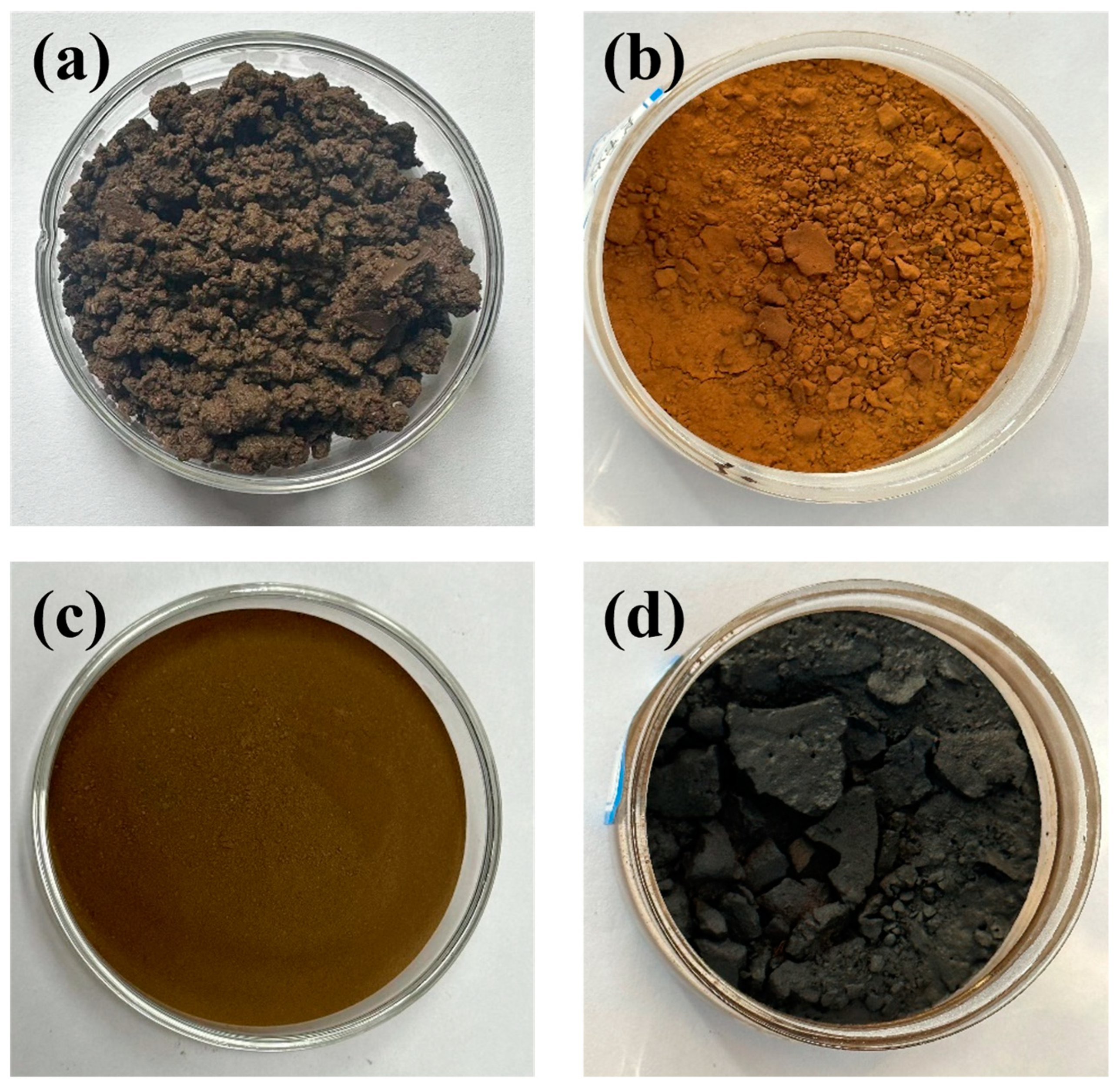 Ijms 25 12542 g012 Ijms 25 12542 g012