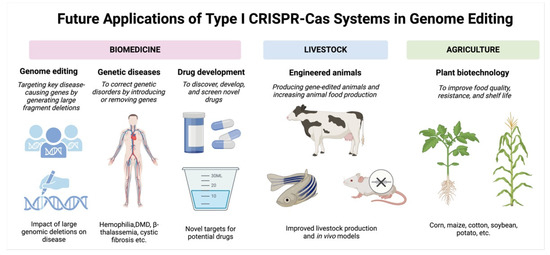 Research Progress on the Mechanism and Application of the Type I CRISPR ...