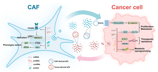 Recent Advances of Small Extracellular Vesicles for the