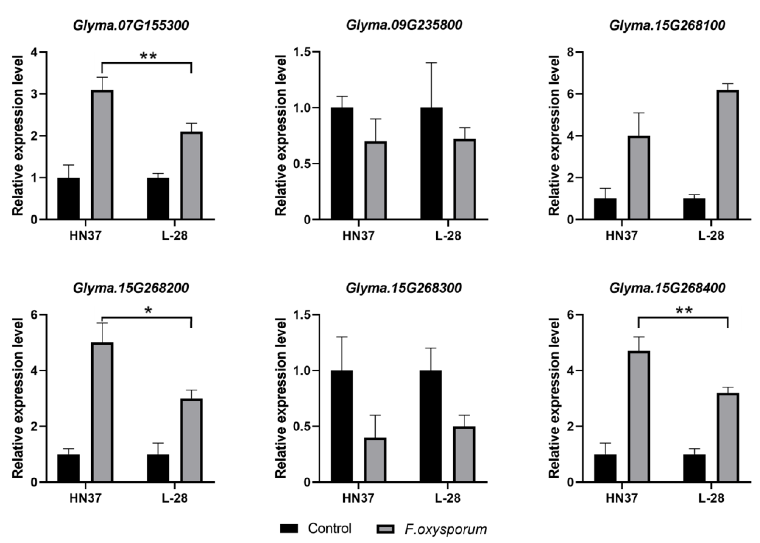Ijms 25 12573 g005 Ijms 25 12573 g005