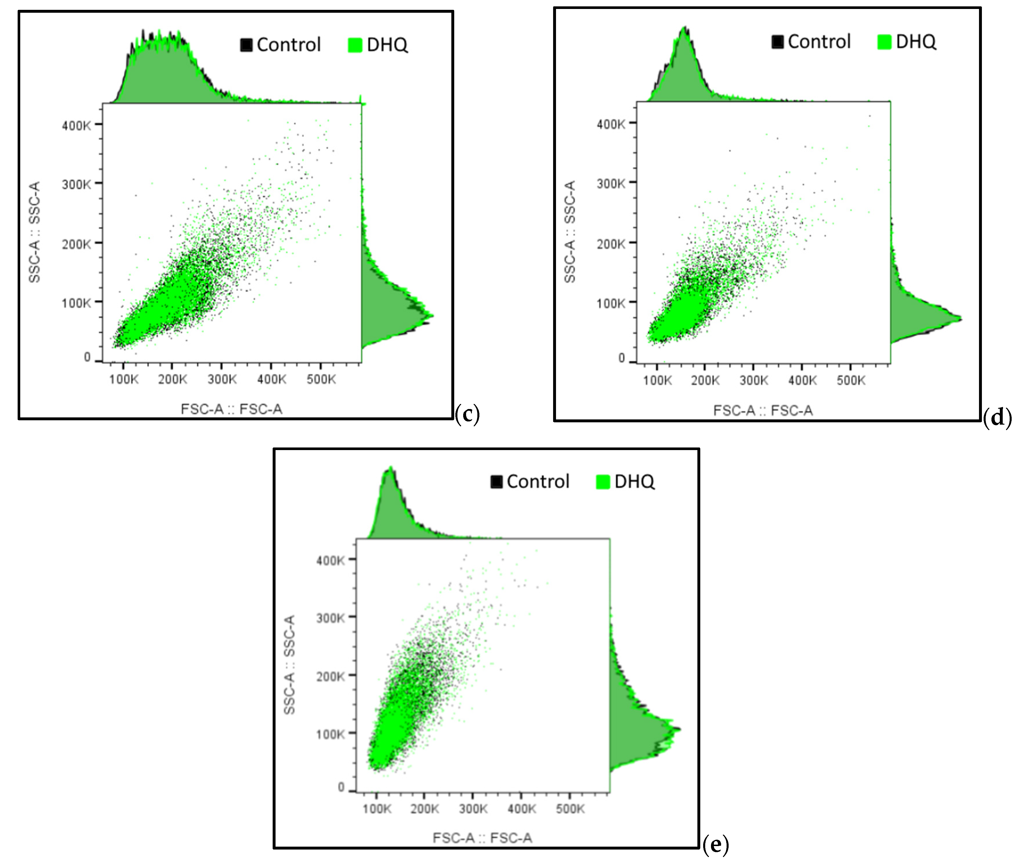 Ijms 25 12574 g002b Ijms 25 12574 g002b