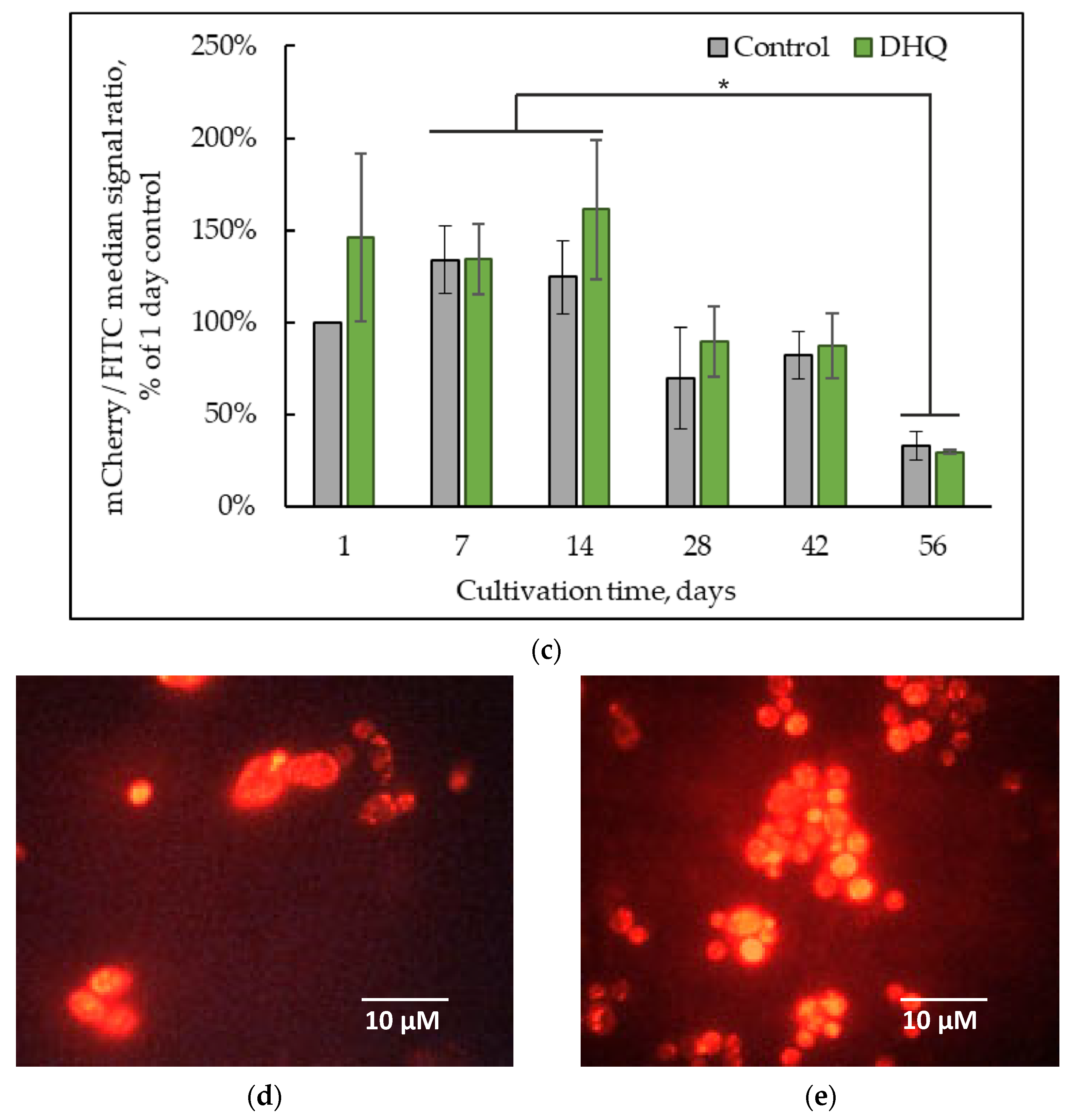Ijms 25 12574 g007b Ijms 25 12574 g007b