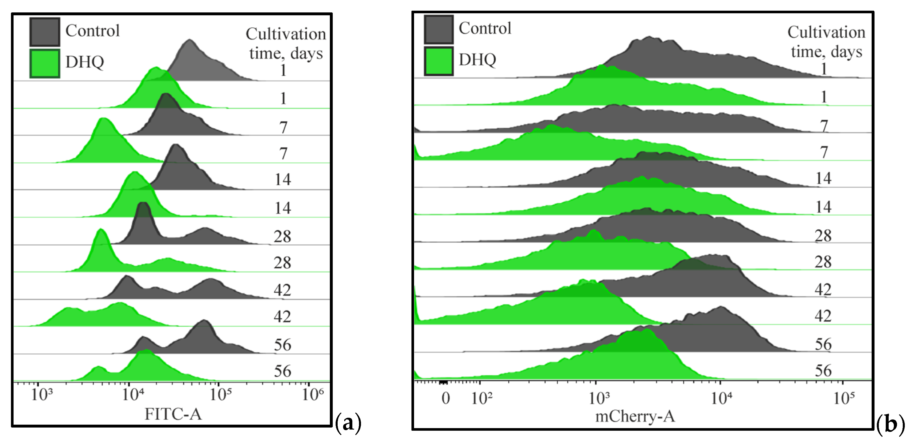 Ijms 25 12574 g010 Ijms 25 12574 g010