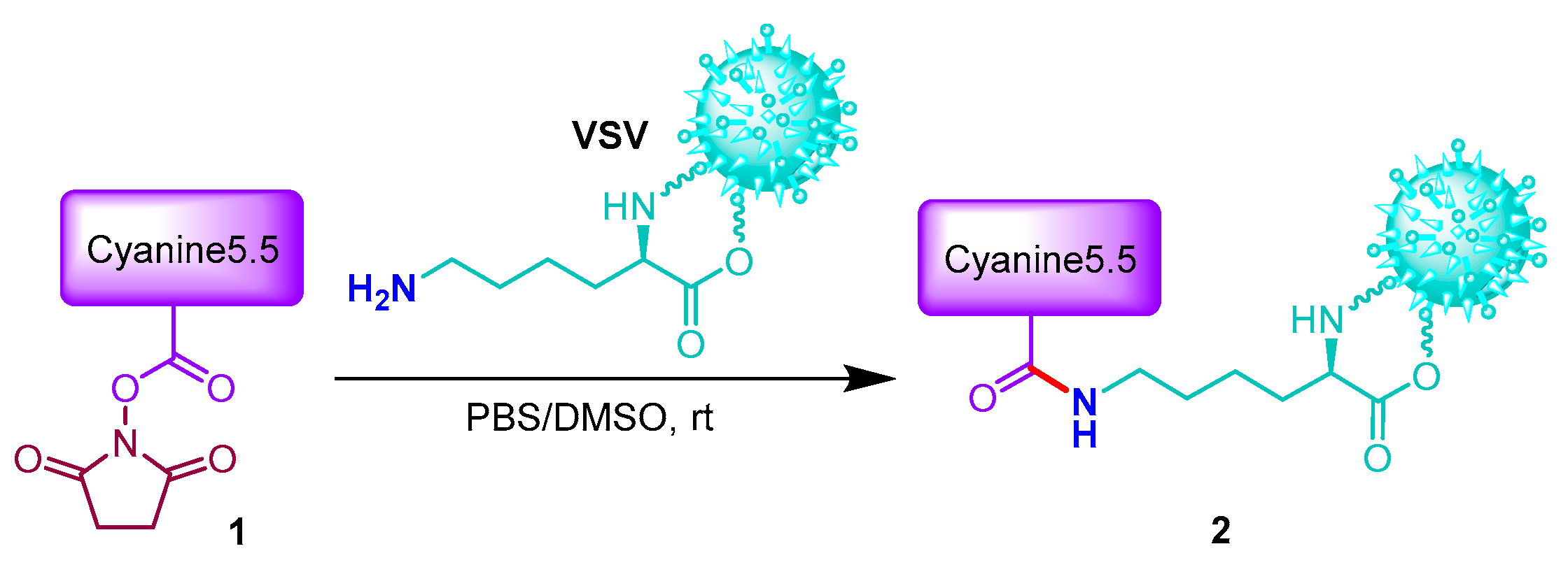 Ijms 25 12578 sch001