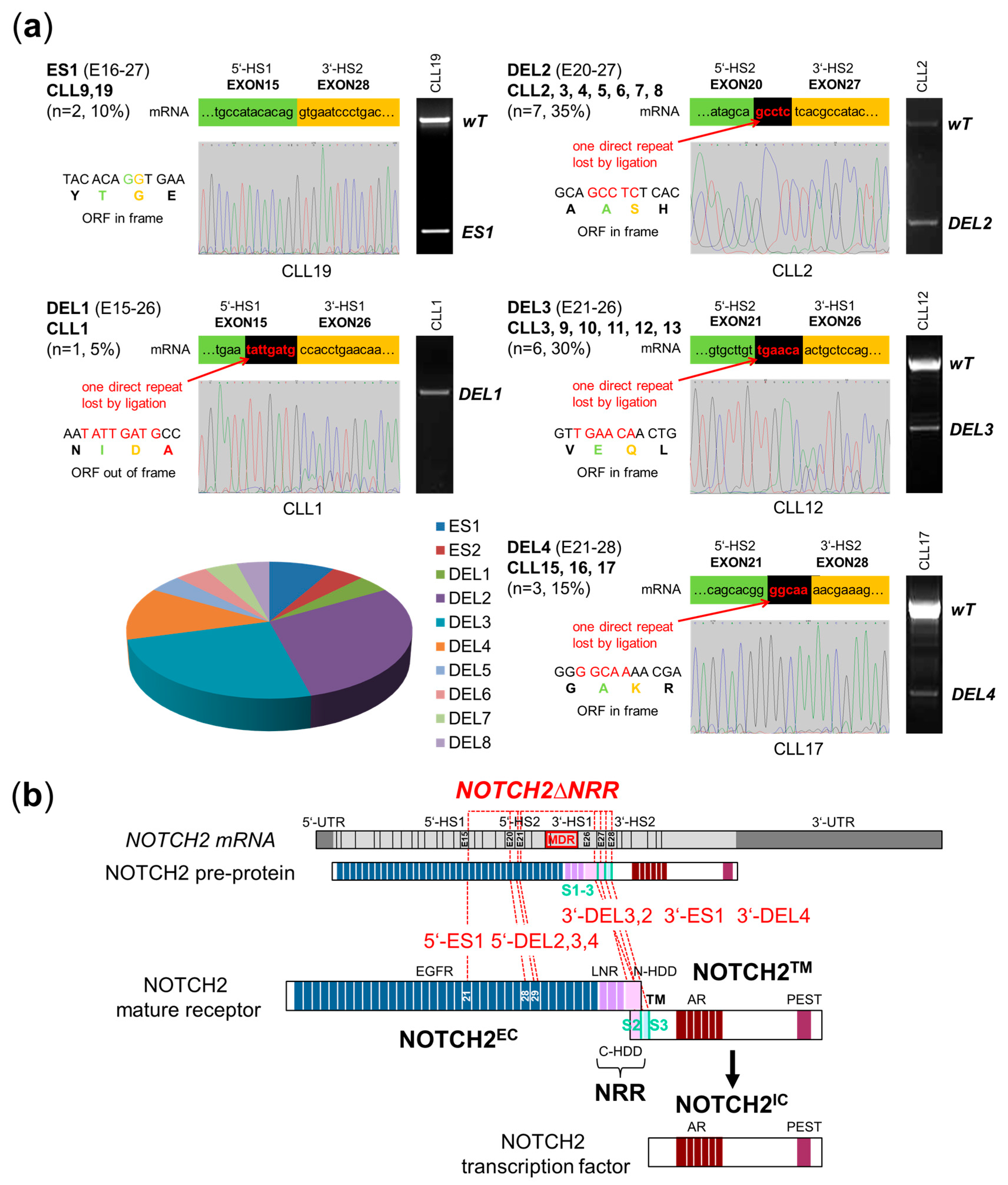 Ijms 25 12581 g001 Ijms 25 12581 g001