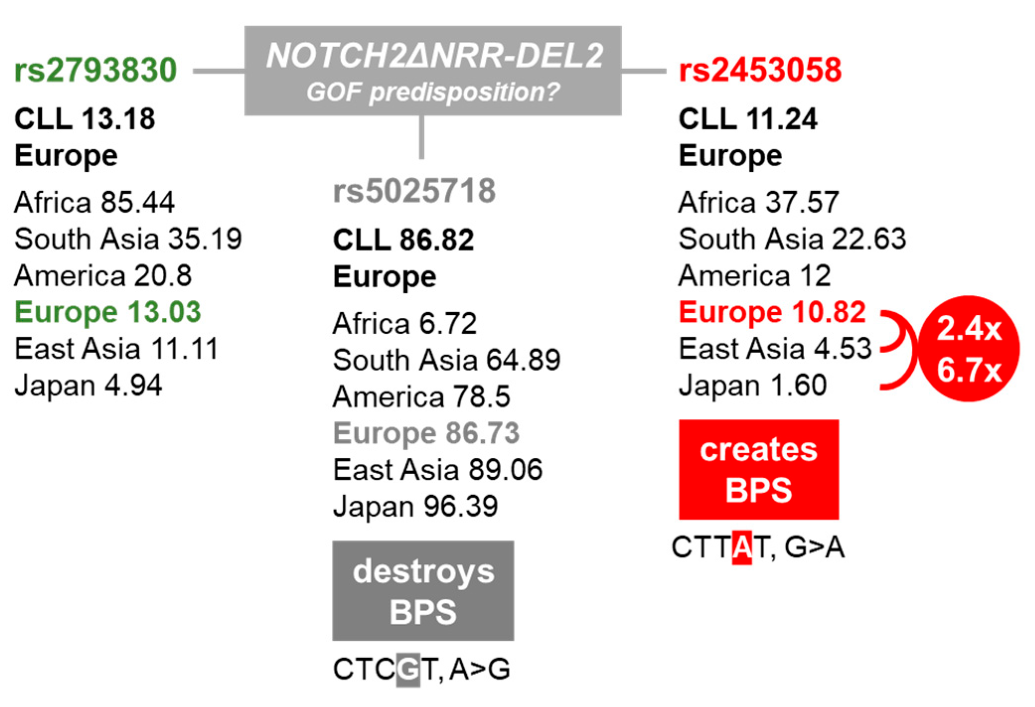 Ijms 25 12581 g002 Ijms 25 12581 g002