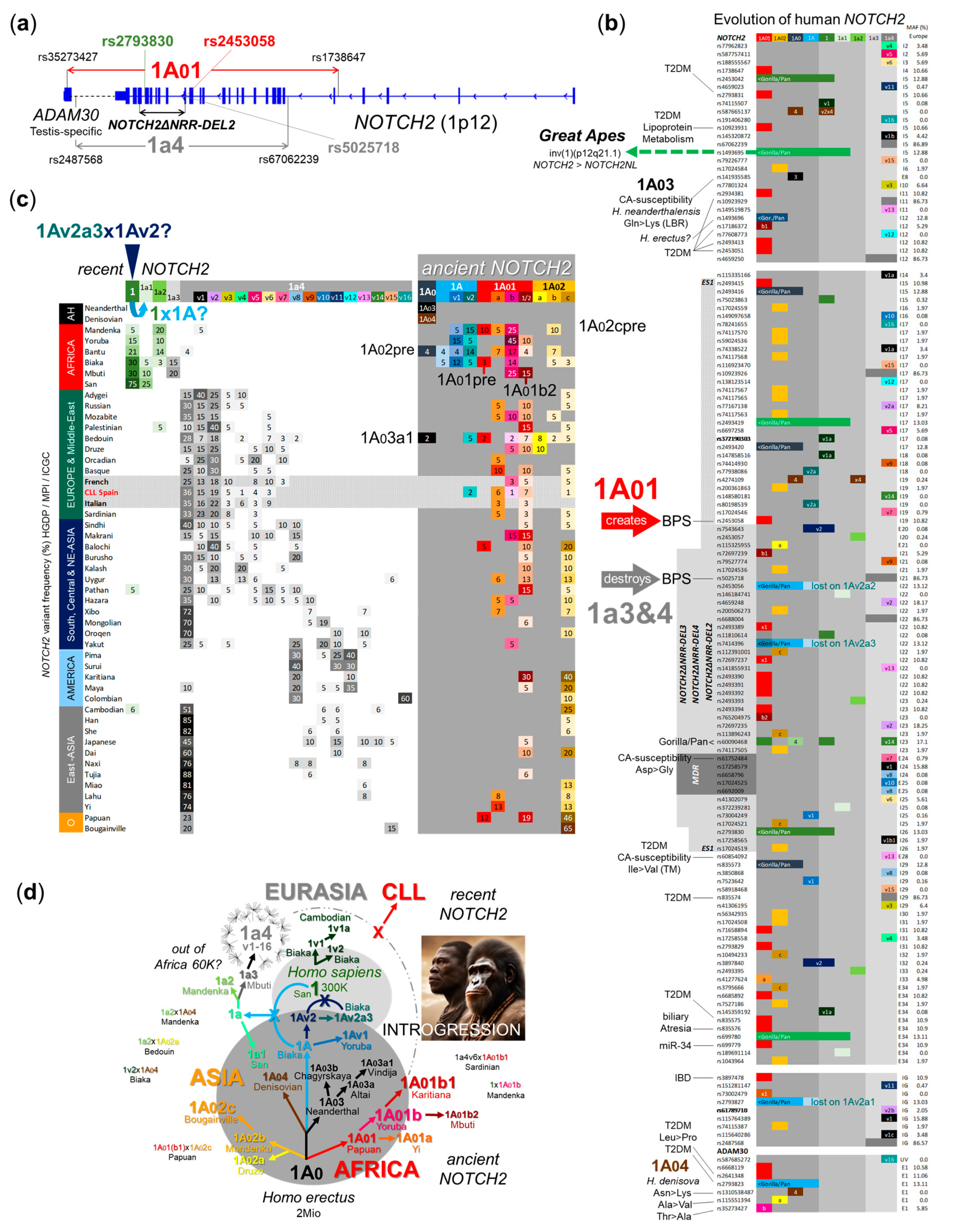 Ijms 25 12581 g003 Ijms 25 12581 g003