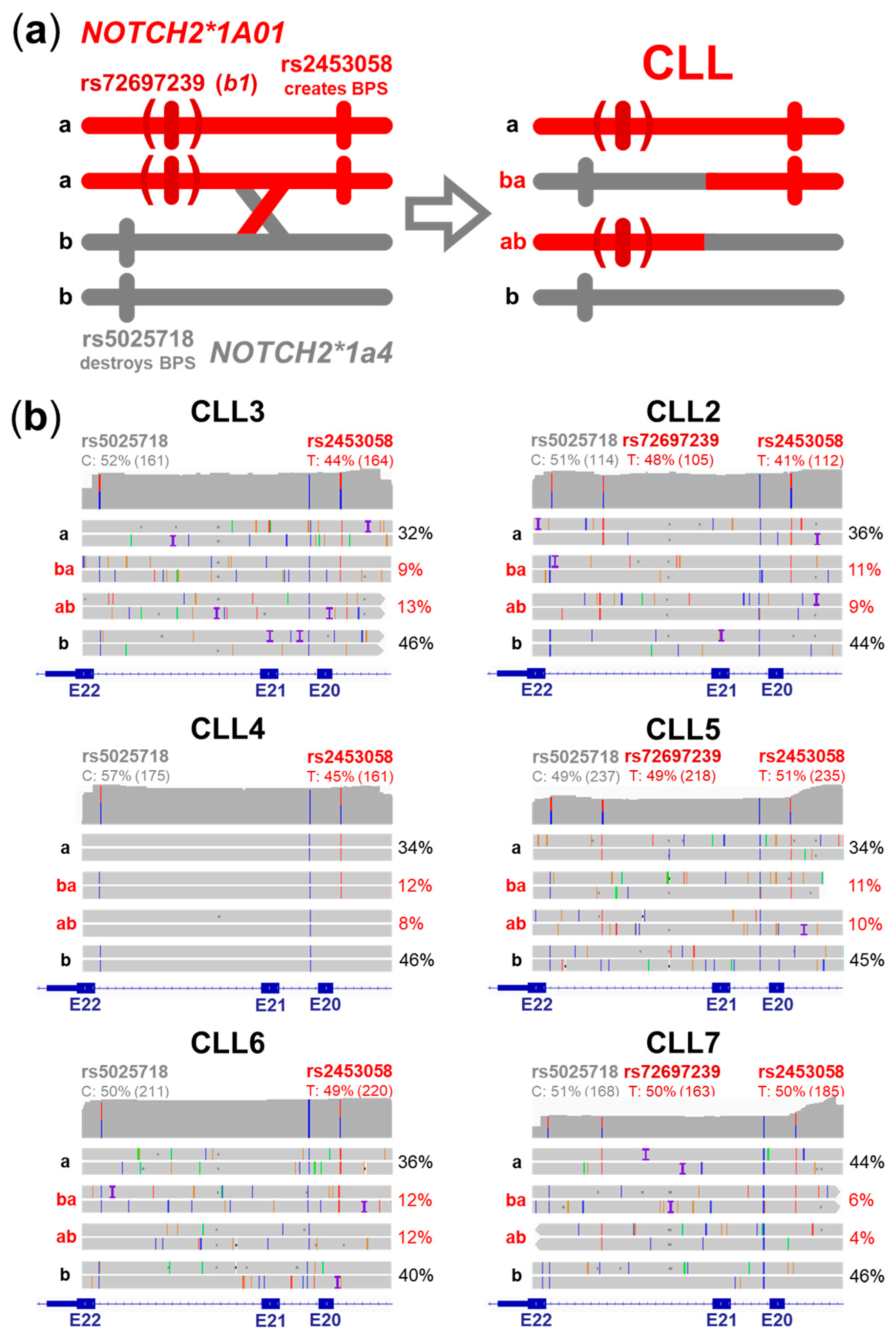 Ijms 25 12581 g005 Ijms 25 12581 g005