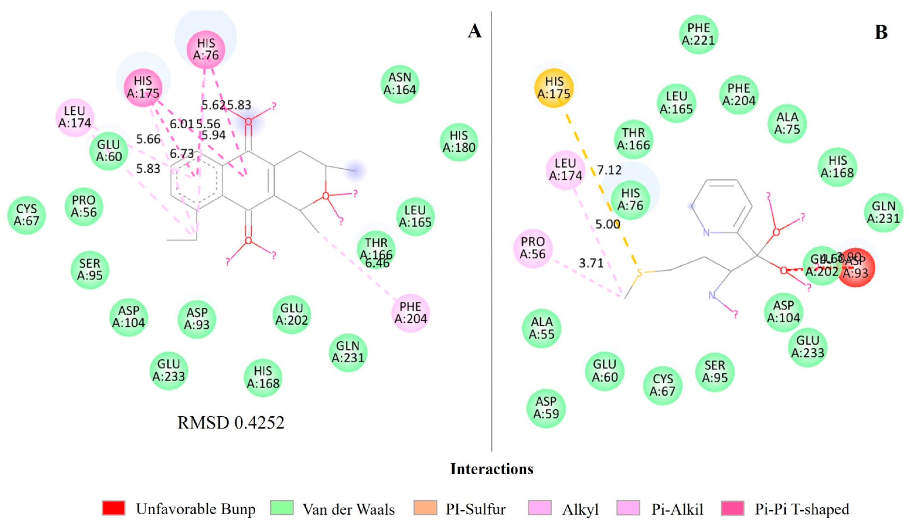 Ijms 25 12583 g006 Ijms 25 12583 g006