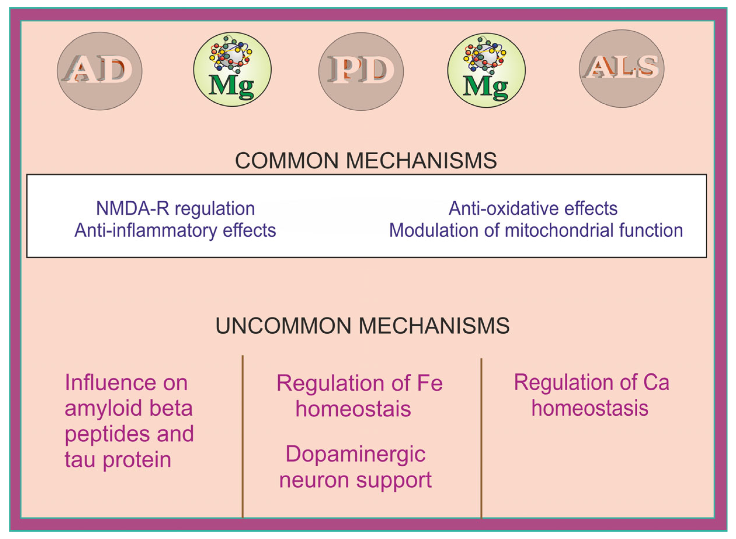 Ijms 25 12595 g005 Ijms 25 12595 g005