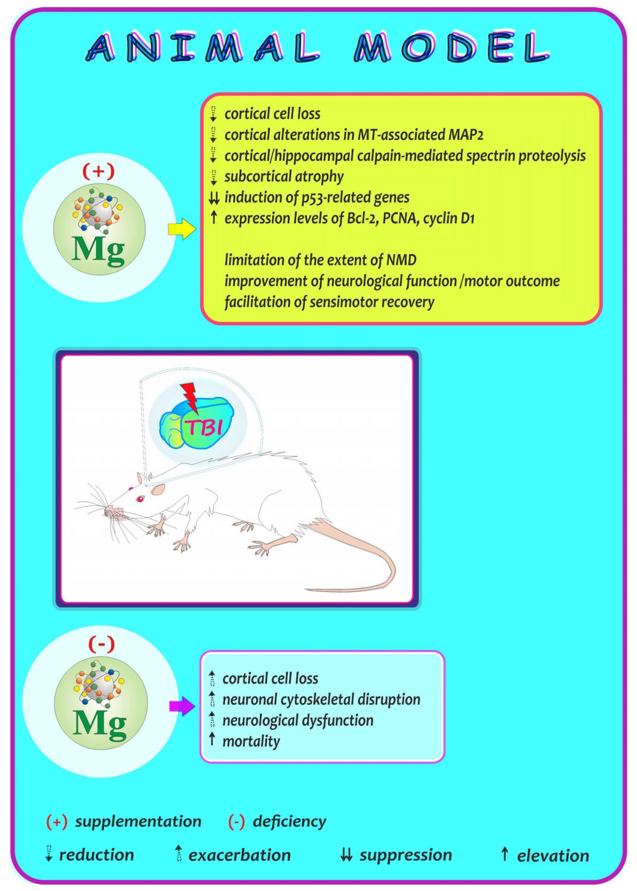 Ijms 25 12595 g006 Ijms 25 12595 g006