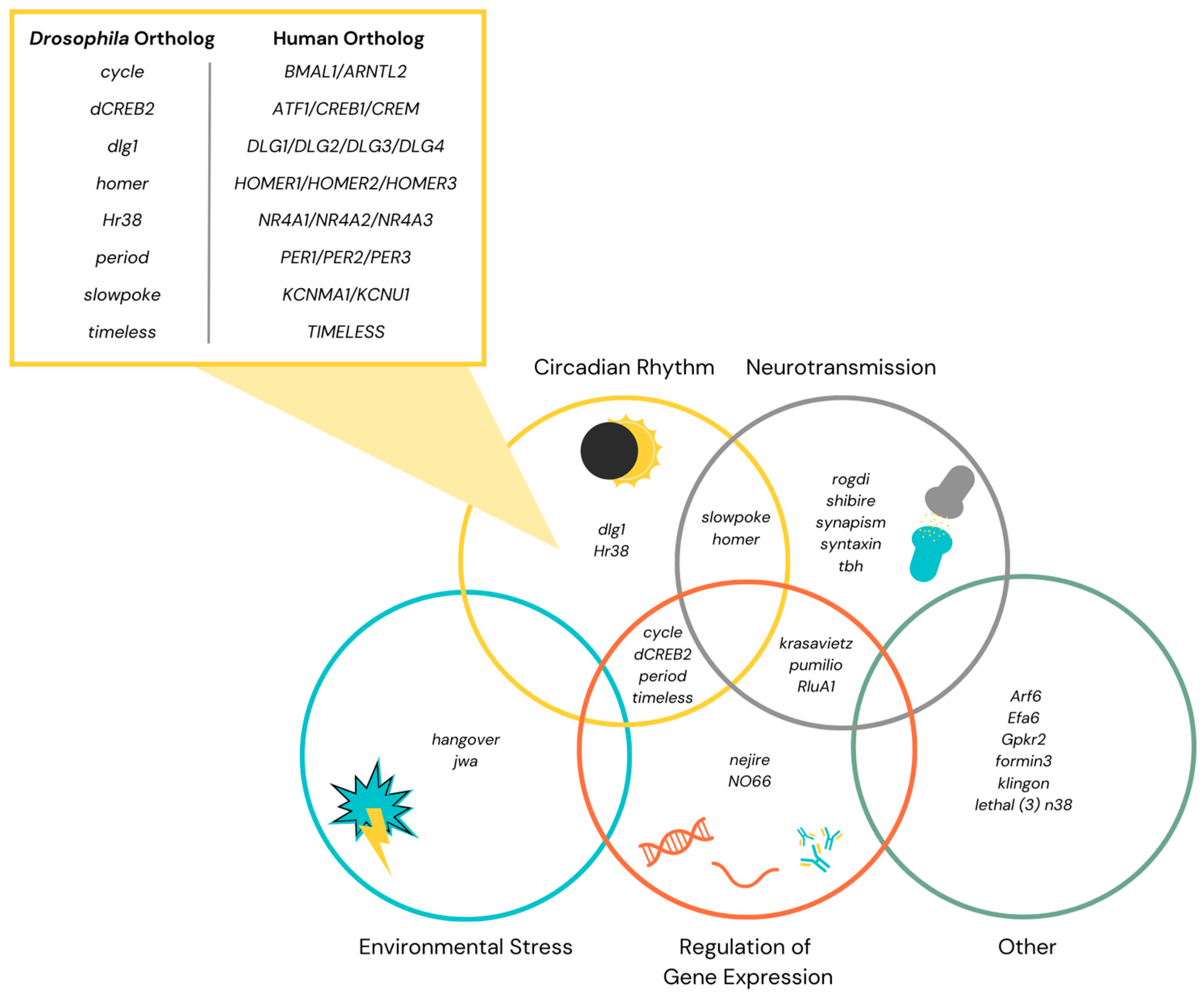 Ijms 25 12605 g002 Ijms 25 12605 g002