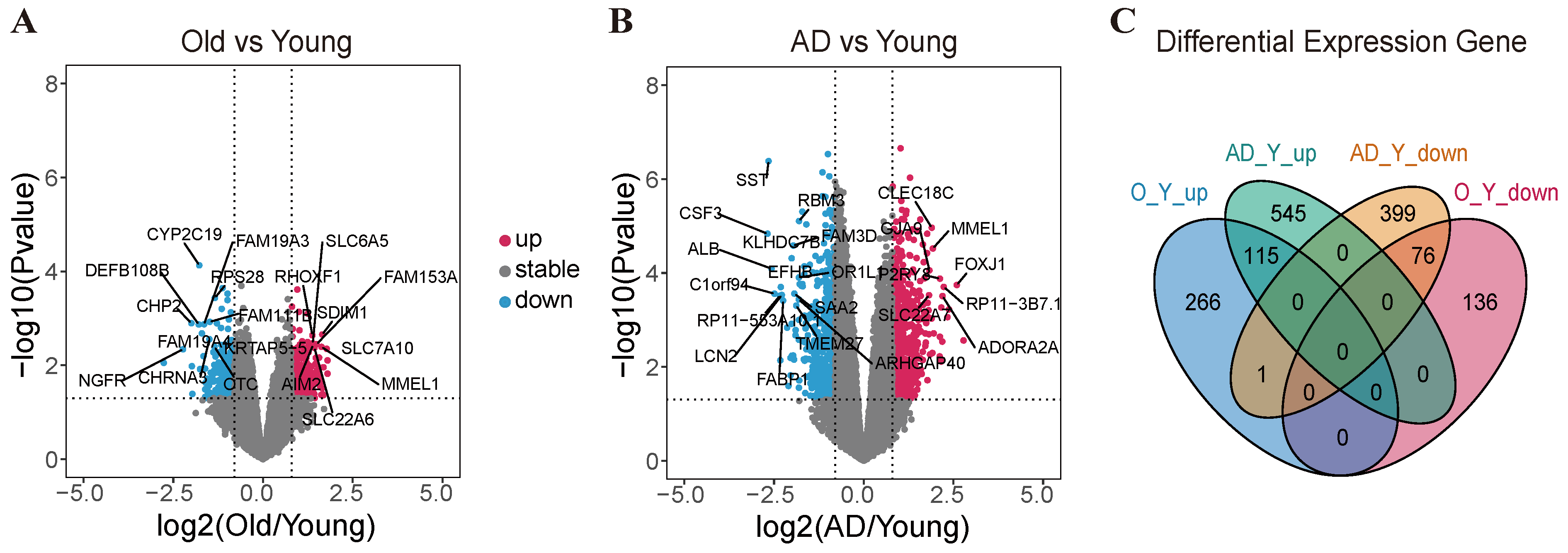 Ijms 25 12608 g002a Ijms 25 12608 g002a