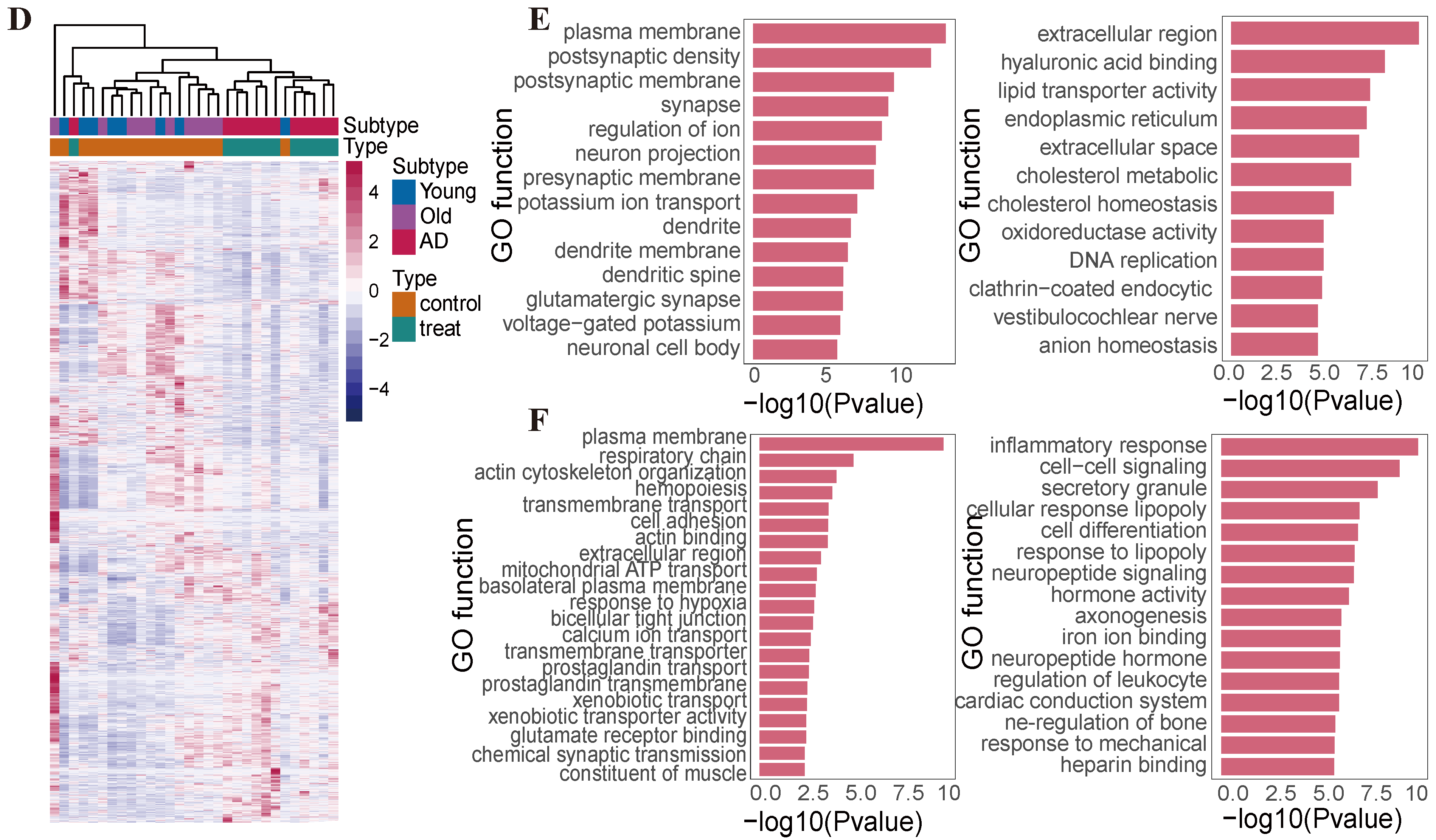 Ijms 25 12608 g002b Ijms 25 12608 g002b