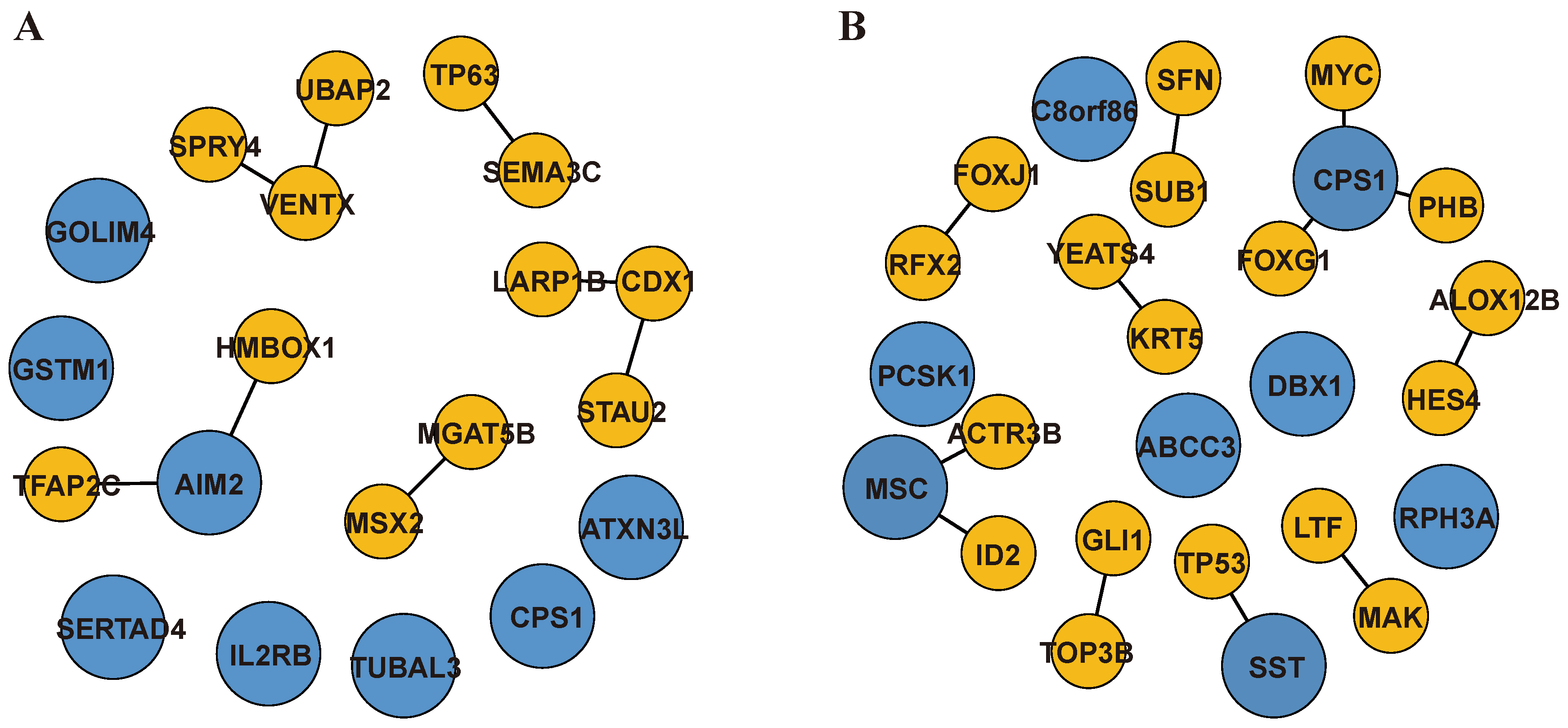 Ijms 25 12608 g003 Ijms 25 12608 g003
