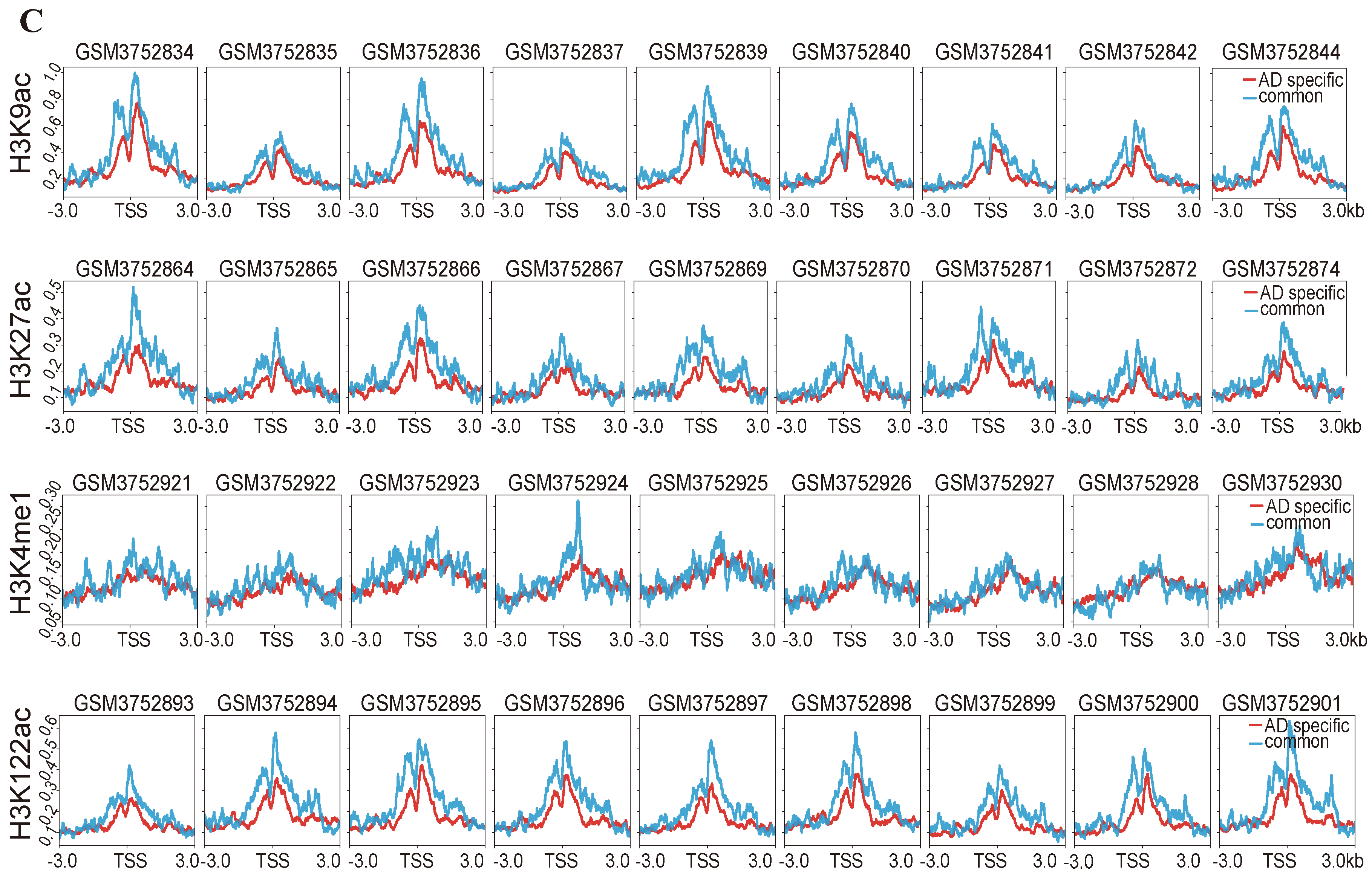 Ijms 25 12608 g004b Ijms 25 12608 g004b