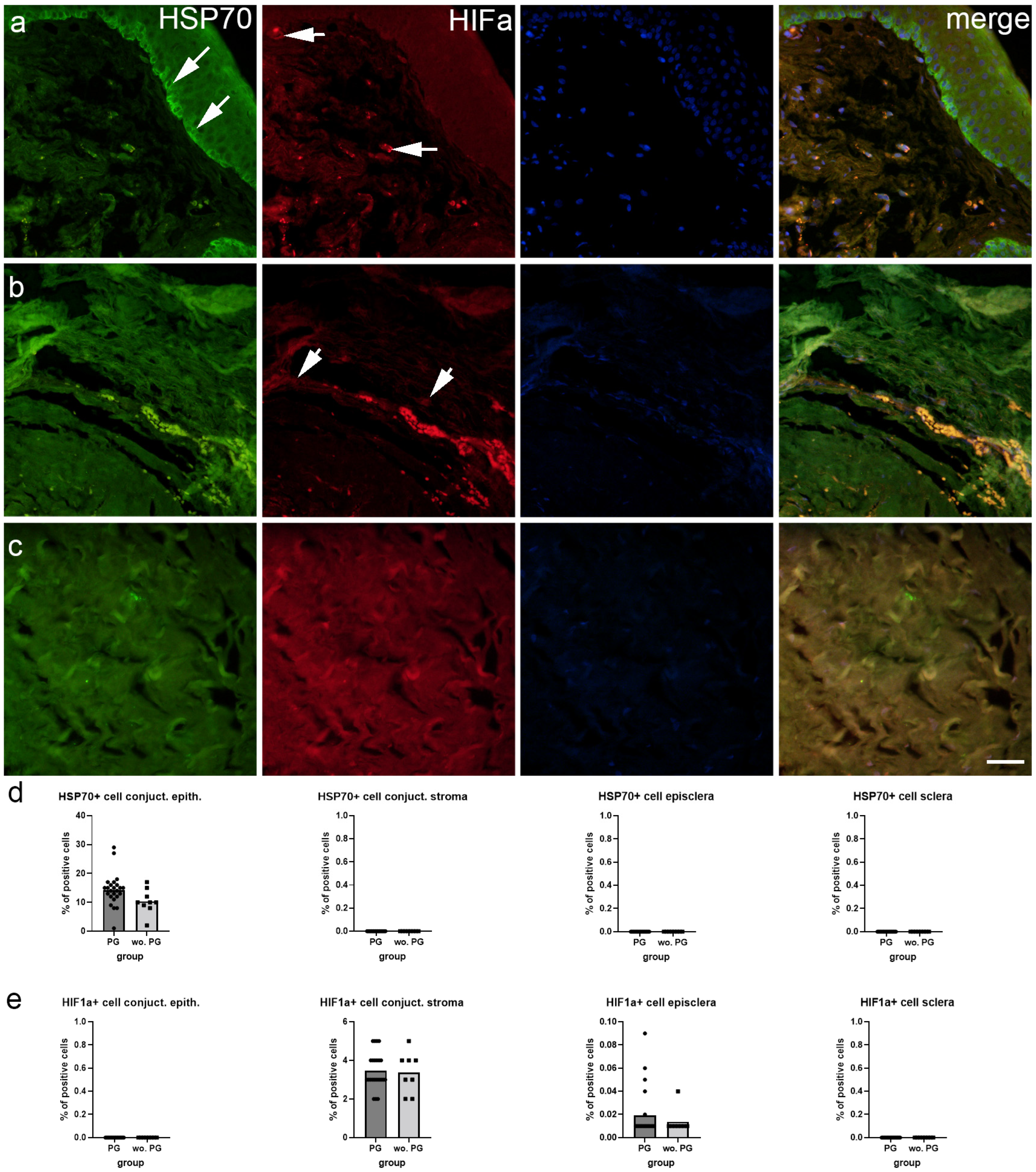 Ijms 25 12618 g002 Ijms 25 12618 g002