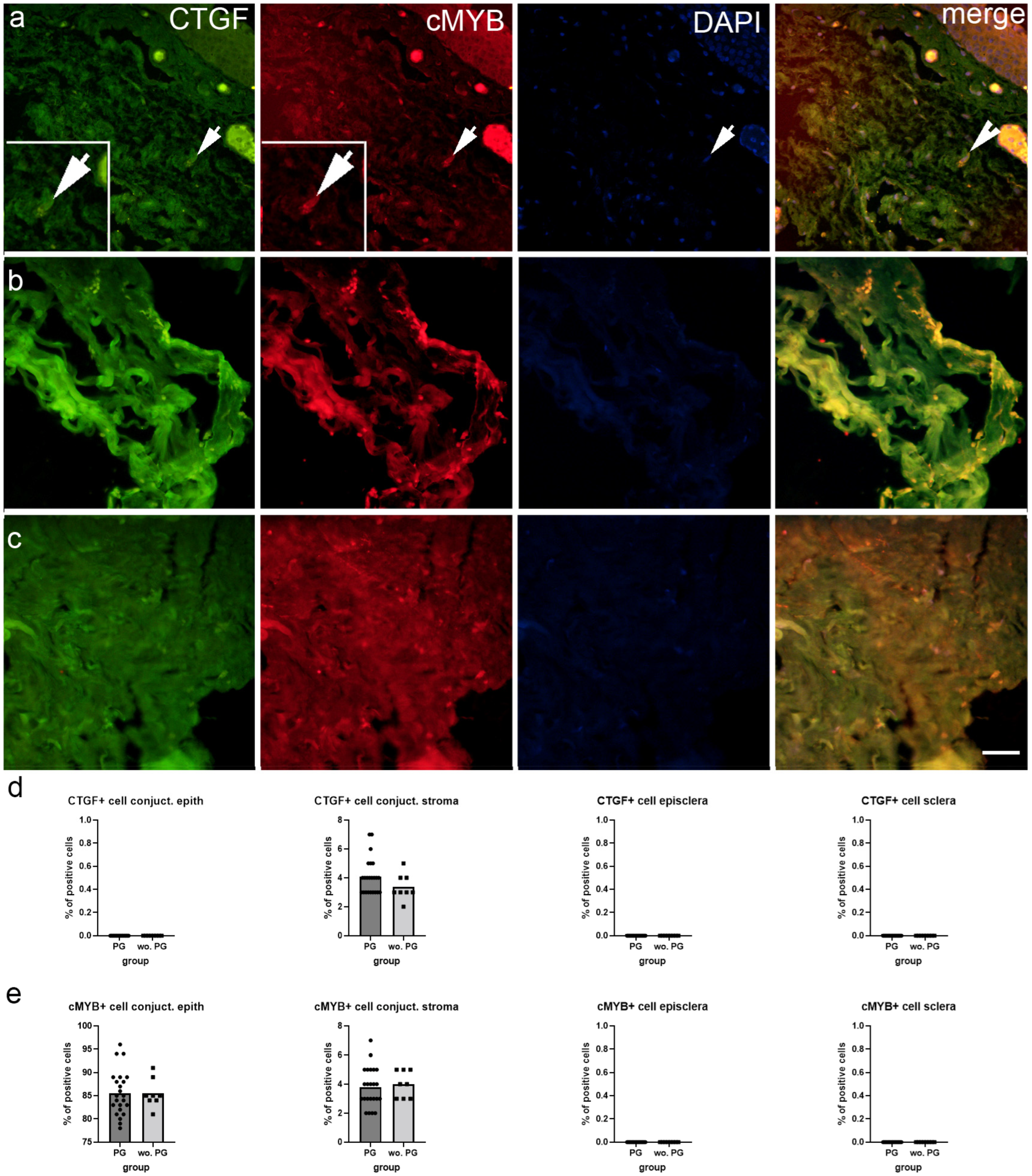 Ijms 25 12618 g004 Ijms 25 12618 g004
