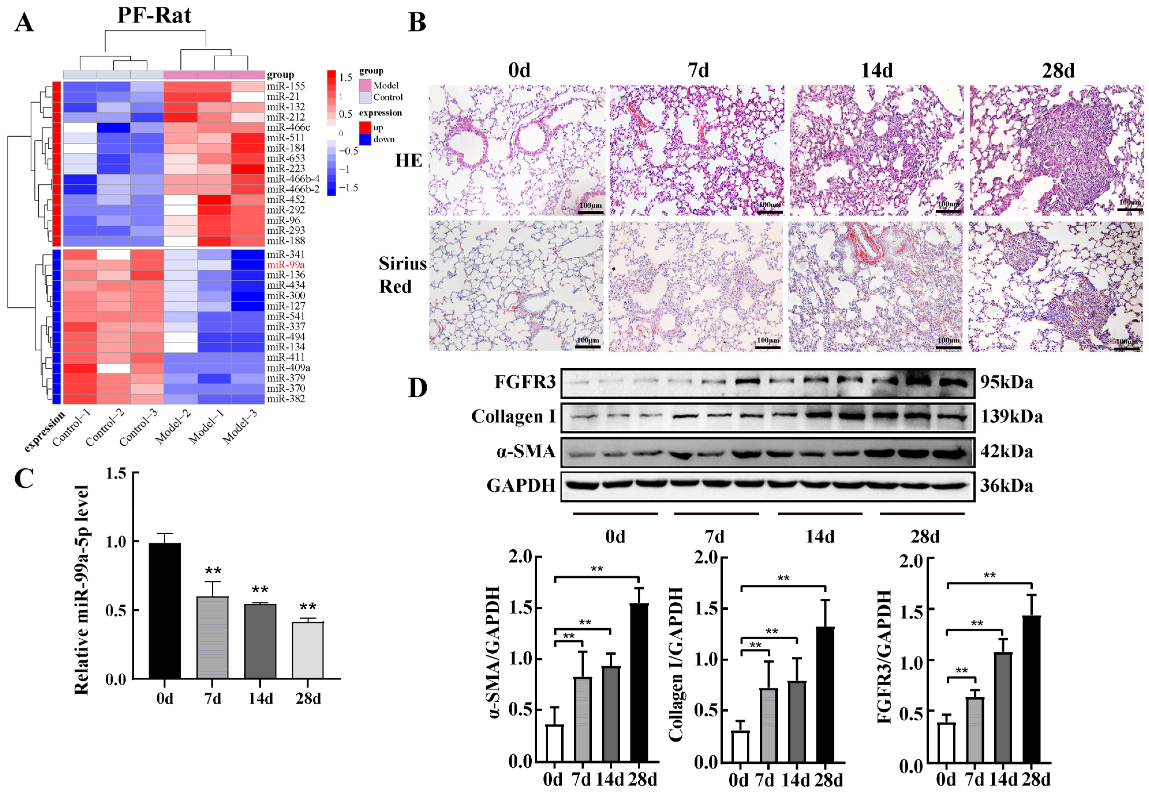 Ijms 25 12626 g001 Ijms 25 12626 g001