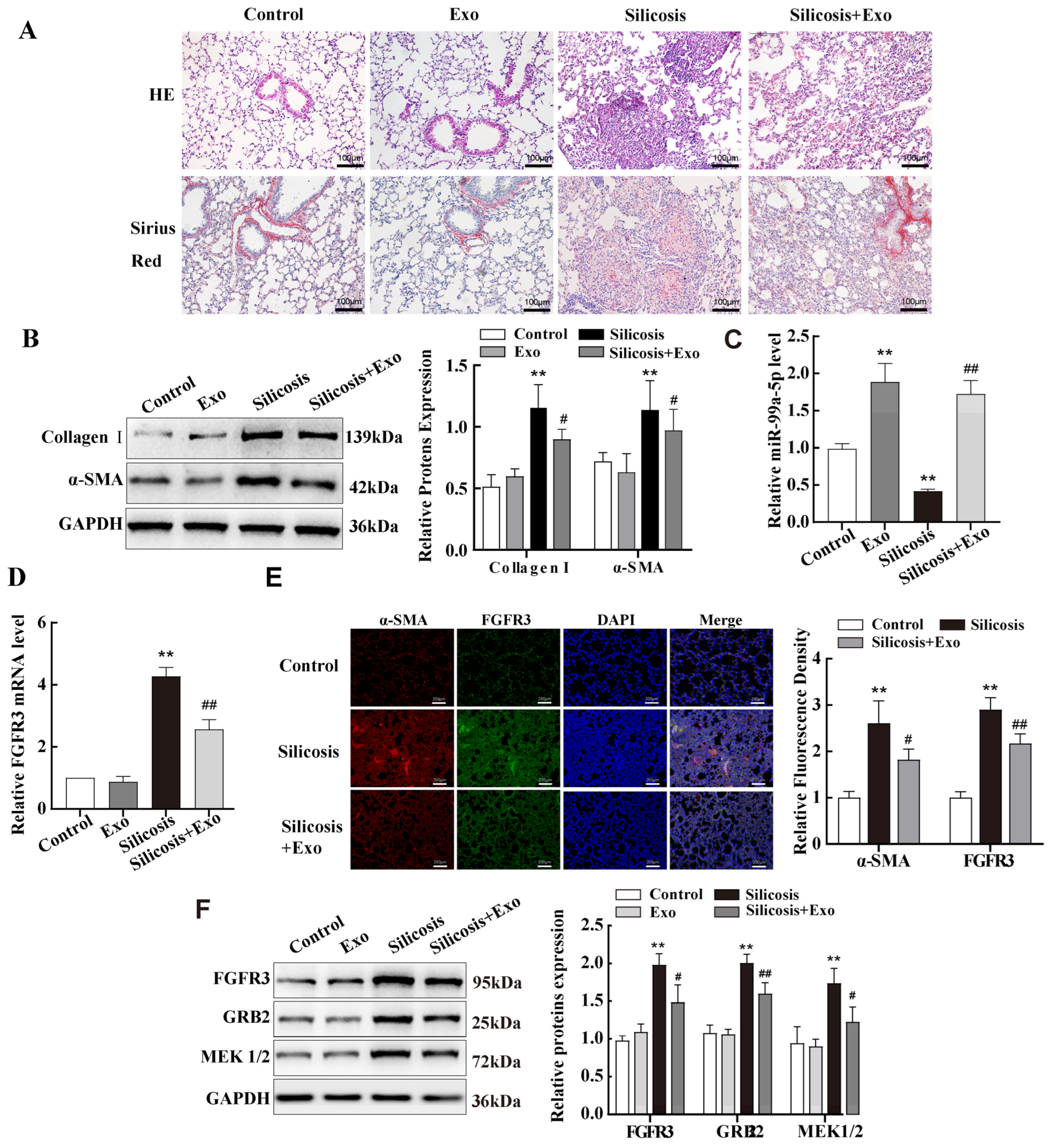 Ijms 25 12626 g007 Ijms 25 12626 g007