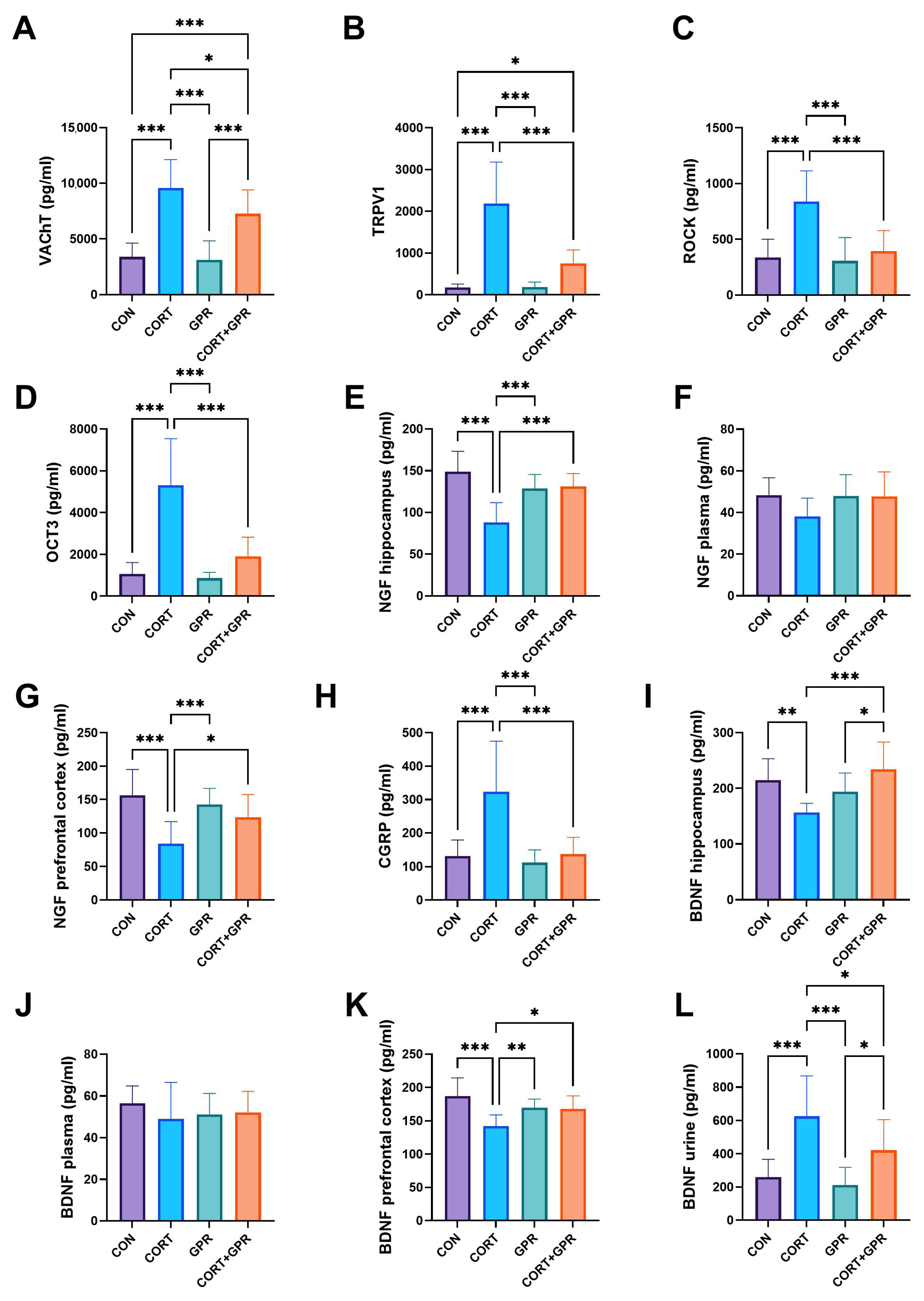 Ijms 25 12630 g004 Ijms 25 12630 g004