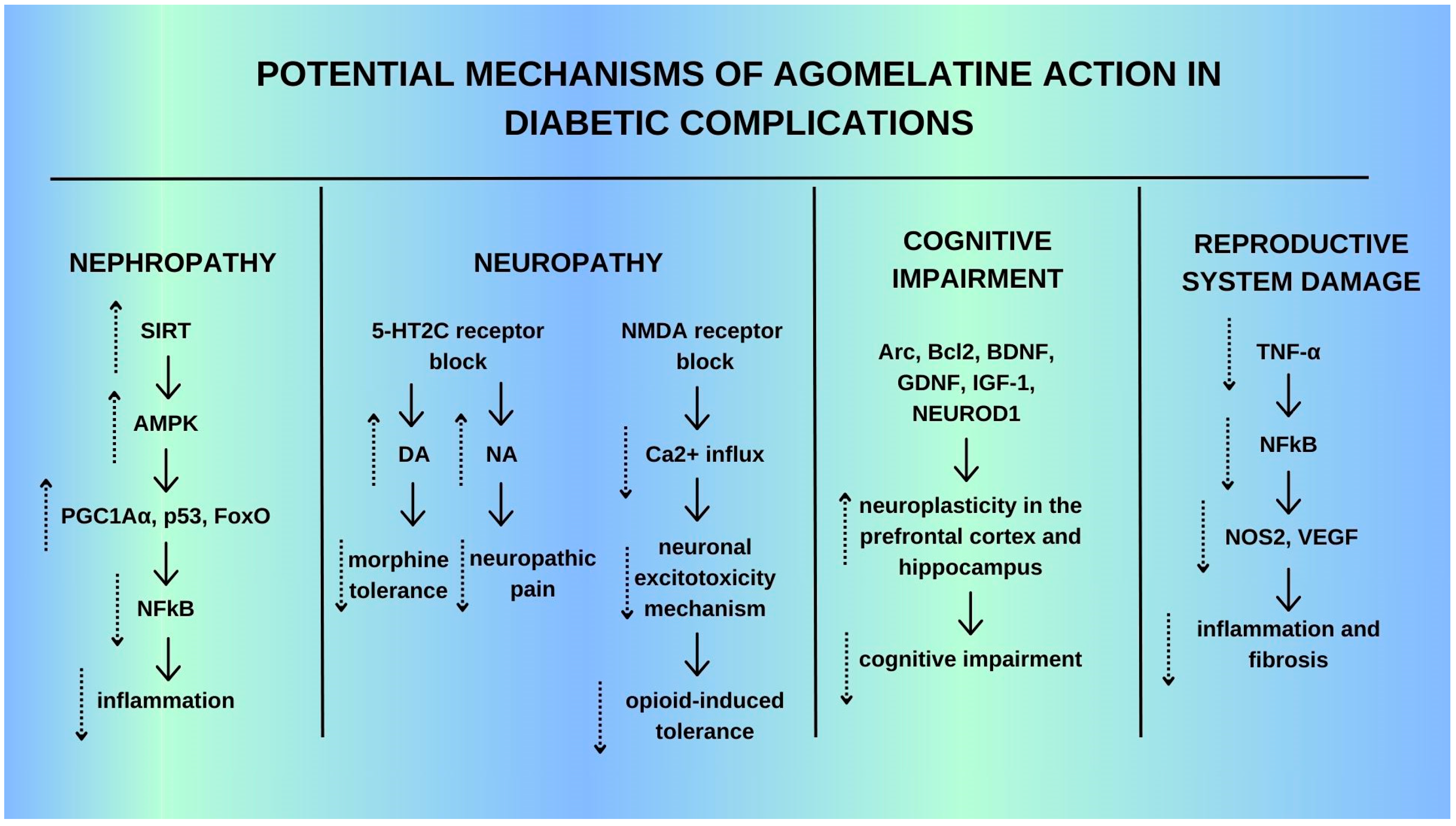 Ijms 25 12631 g010 Ijms 25 12631 g010