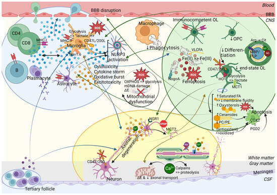 Should We Consider Neurodegeneration by Itself or in a