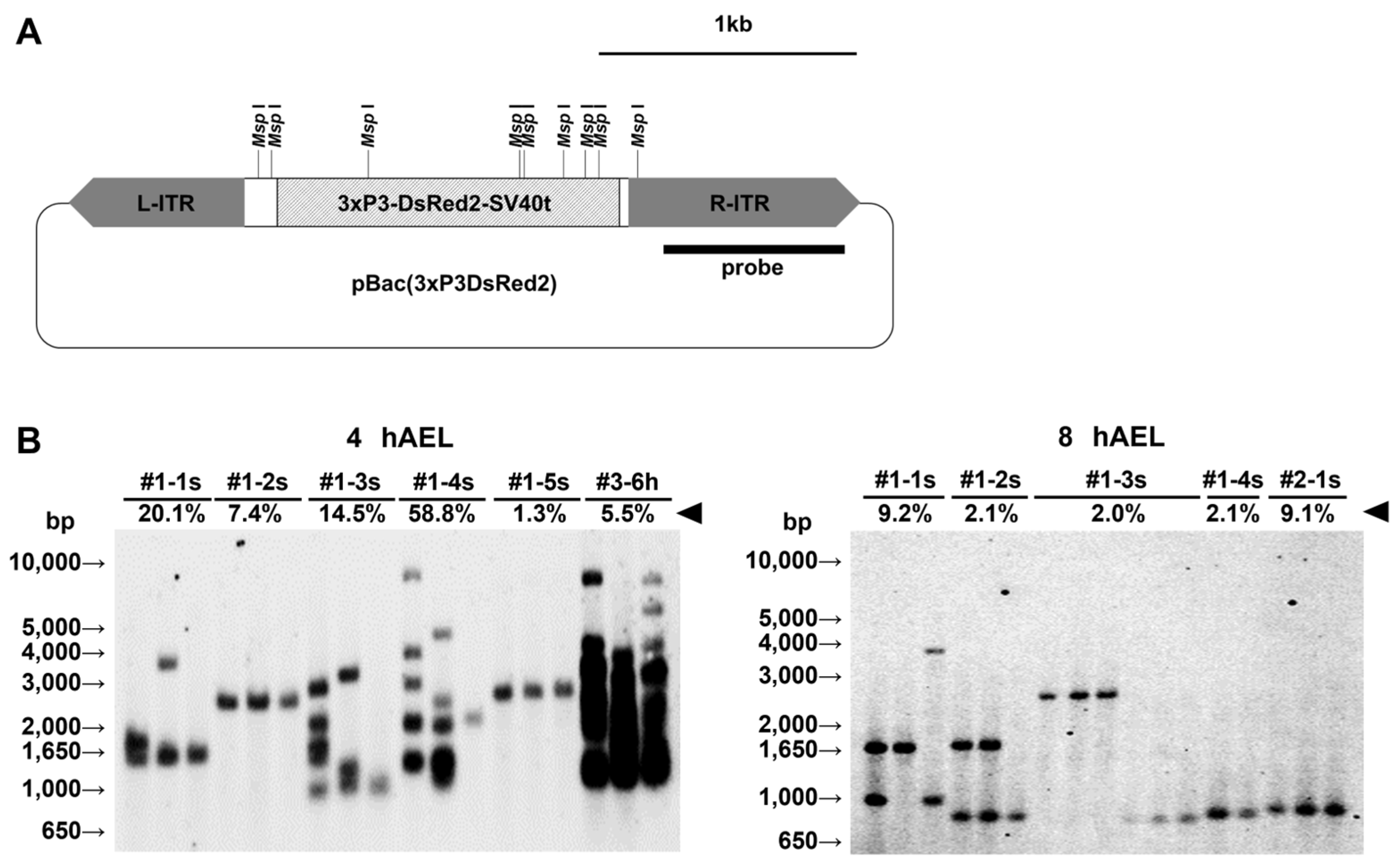Ijms 25 12642 g003 Ijms 25 12642 g003