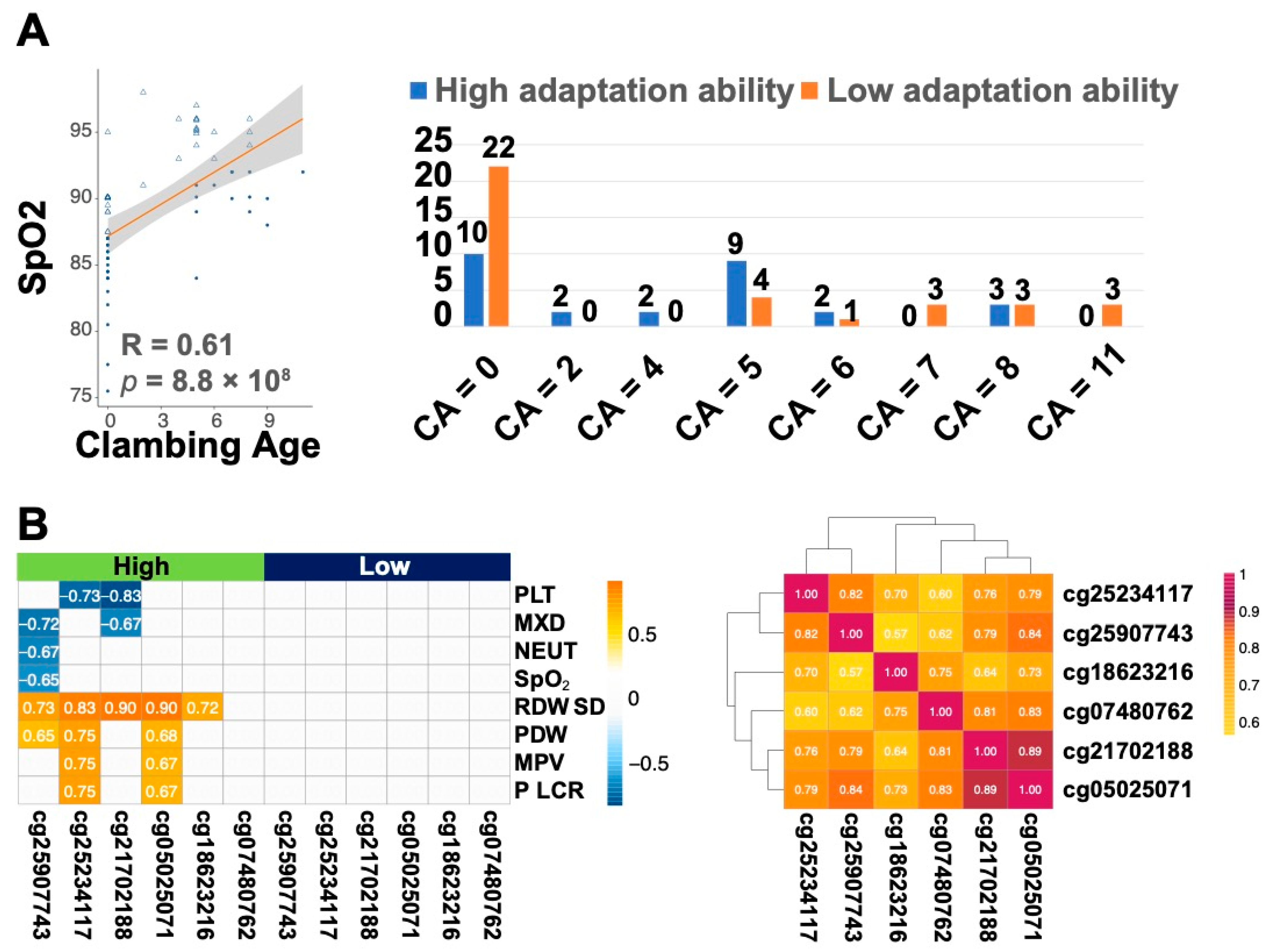 Ijms 25 12652 g004 Ijms 25 12652 g004