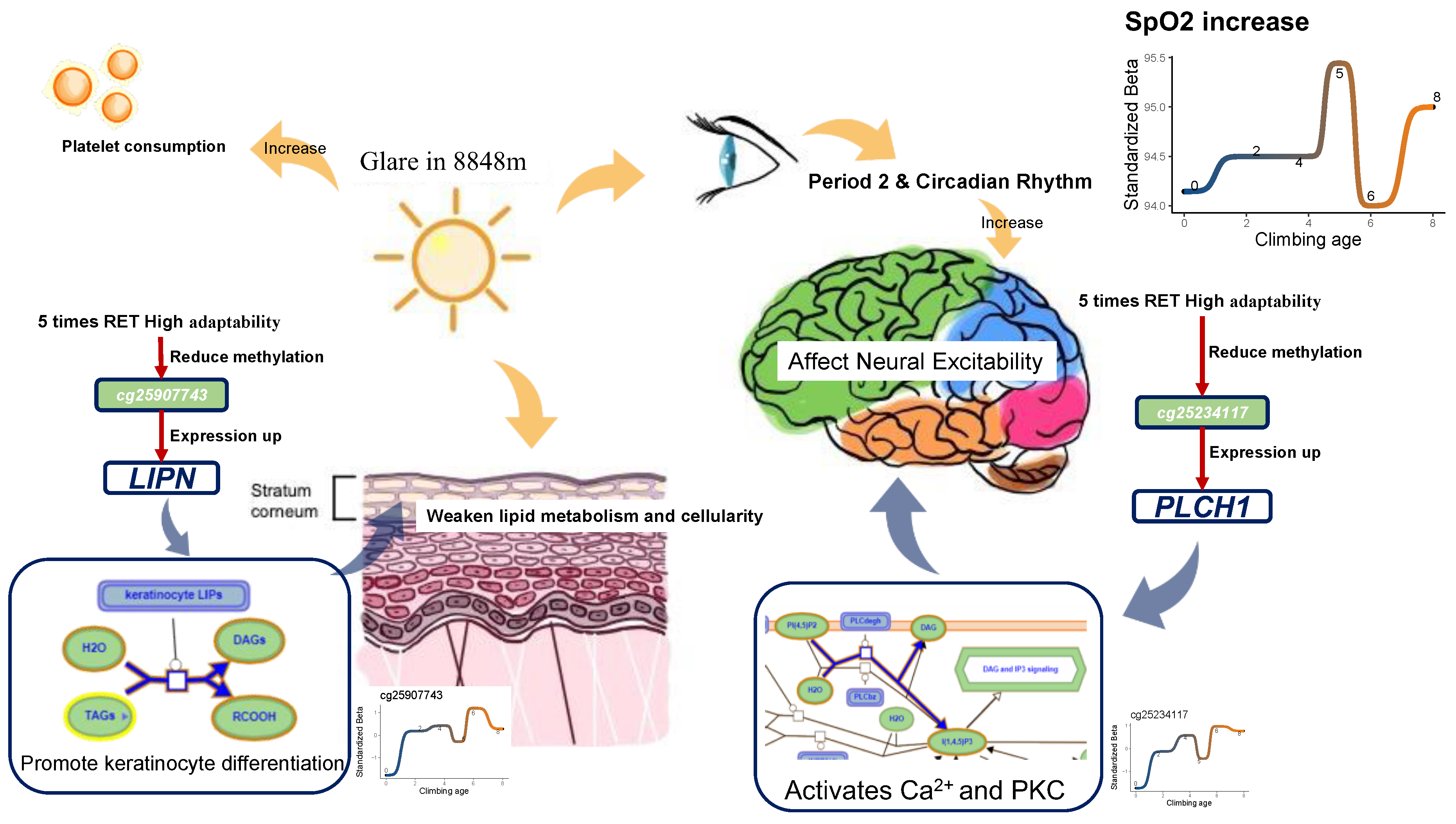 Ijms 25 12652 g005 Ijms 25 12652 g005