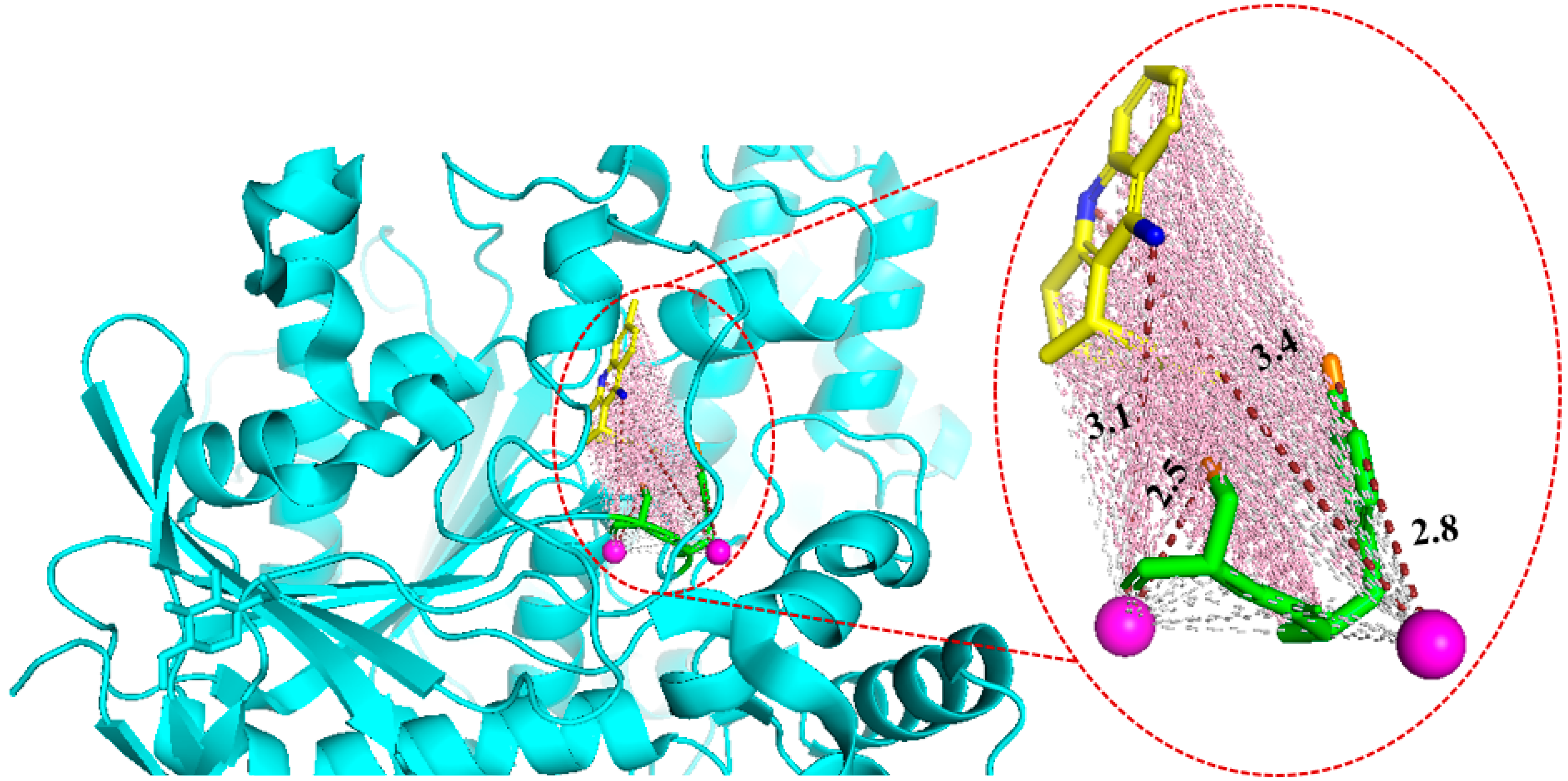 Ijms 25 12676 g005 Ijms 25 12676 g005