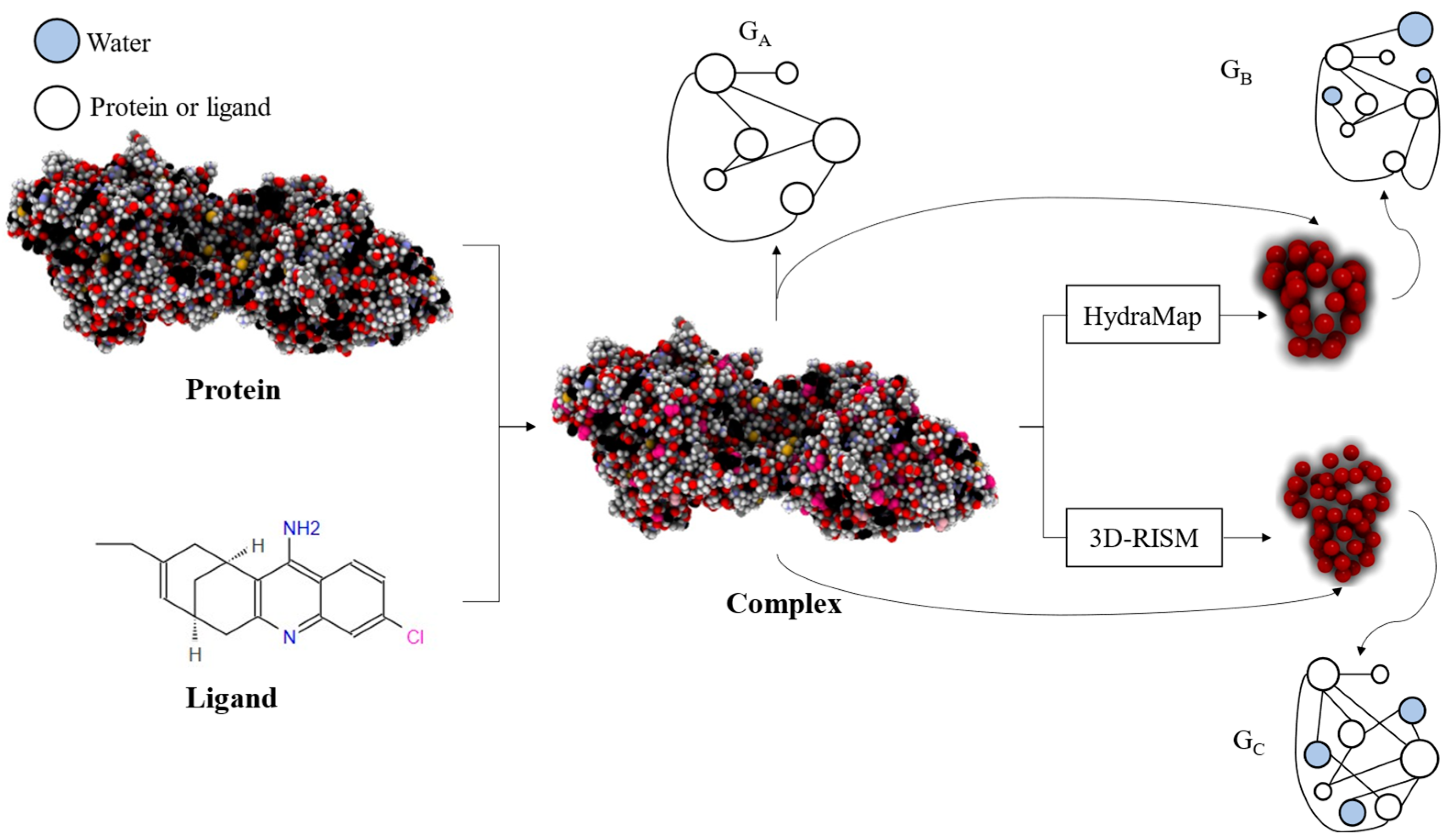 Ijms 25 12676 g007 Ijms 25 12676 g007