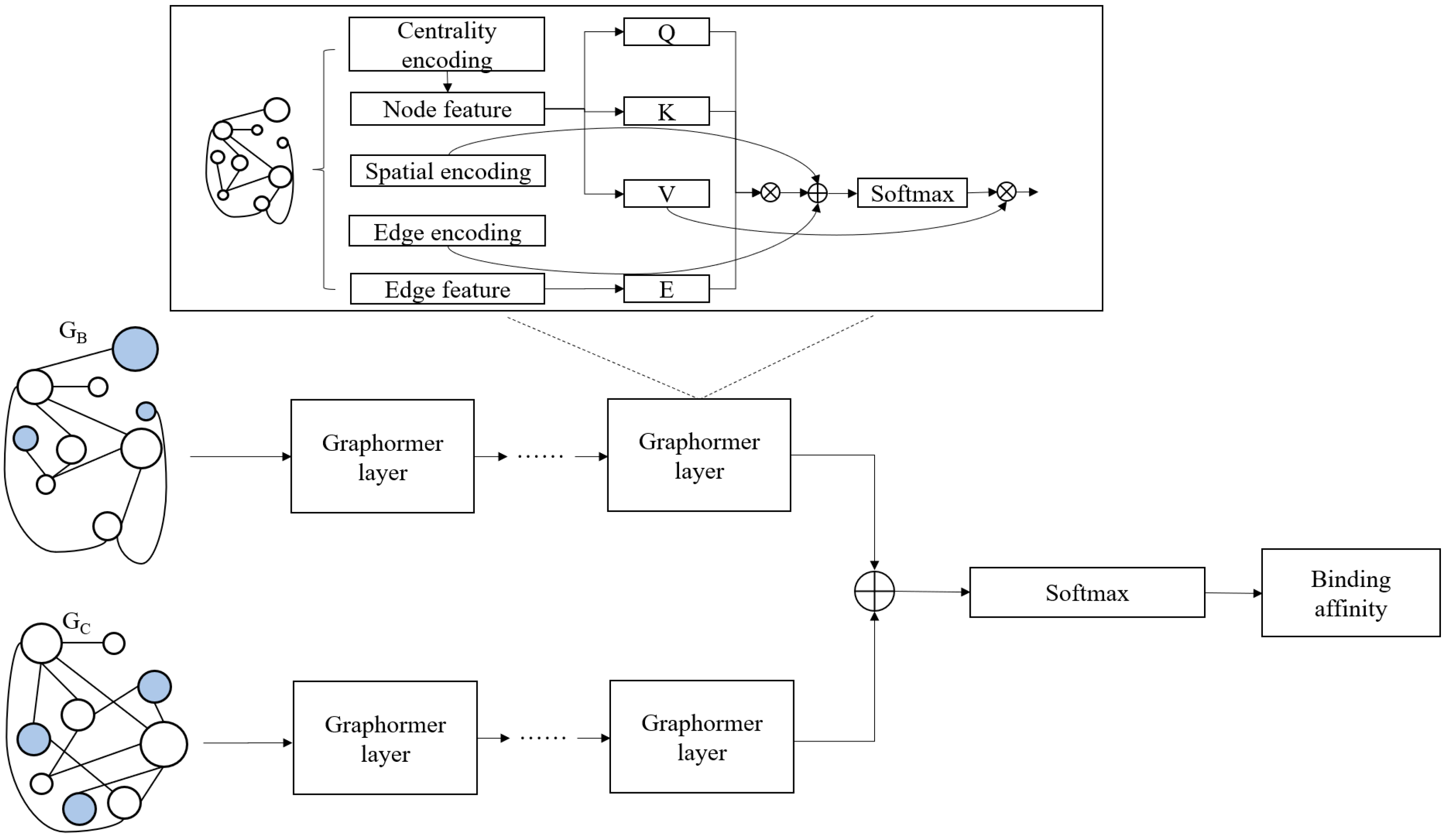 Ijms 25 12676 g008 Ijms 25 12676 g008