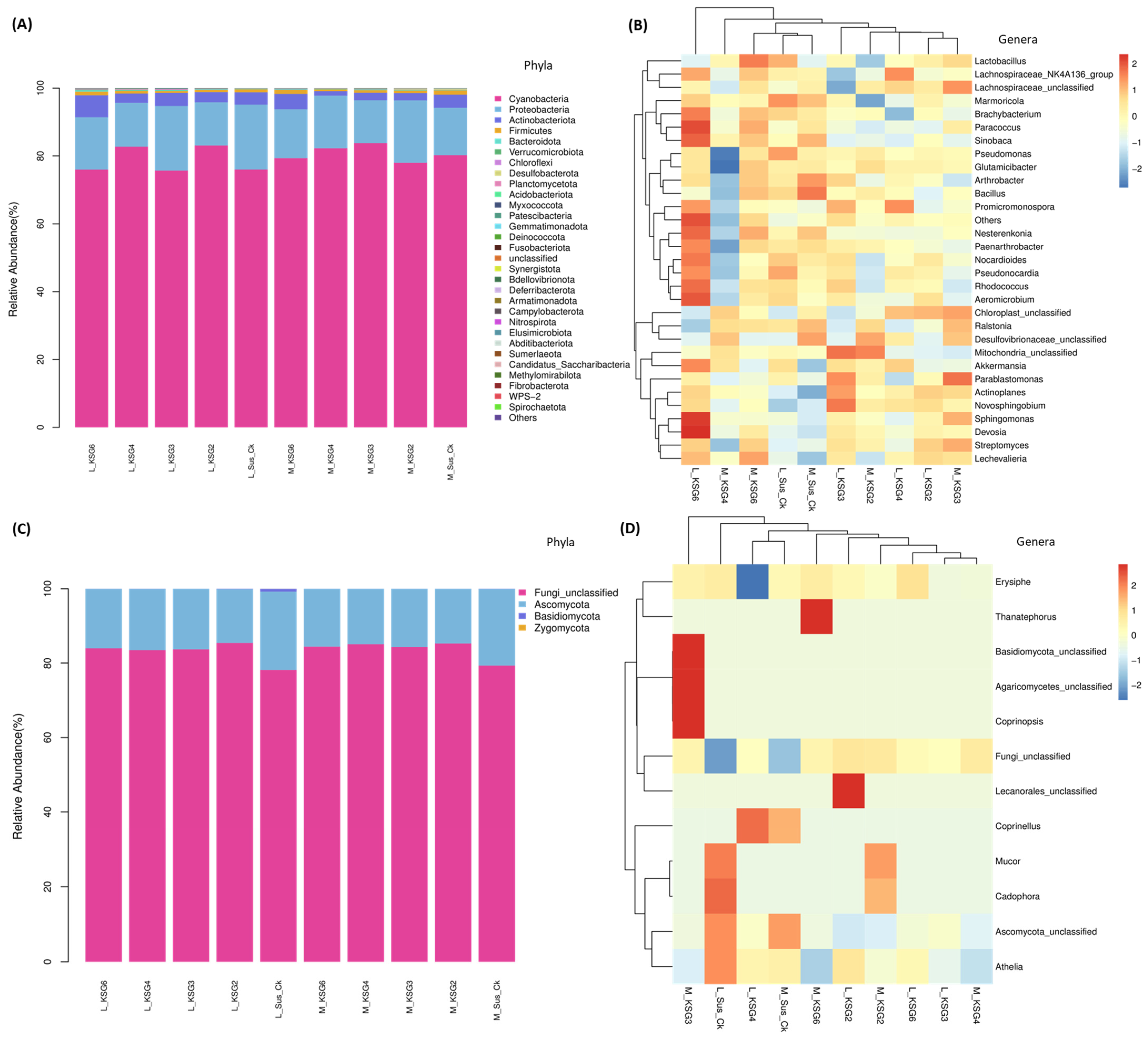 Ijms 25 12681 g001 Ijms 25 12681 g001