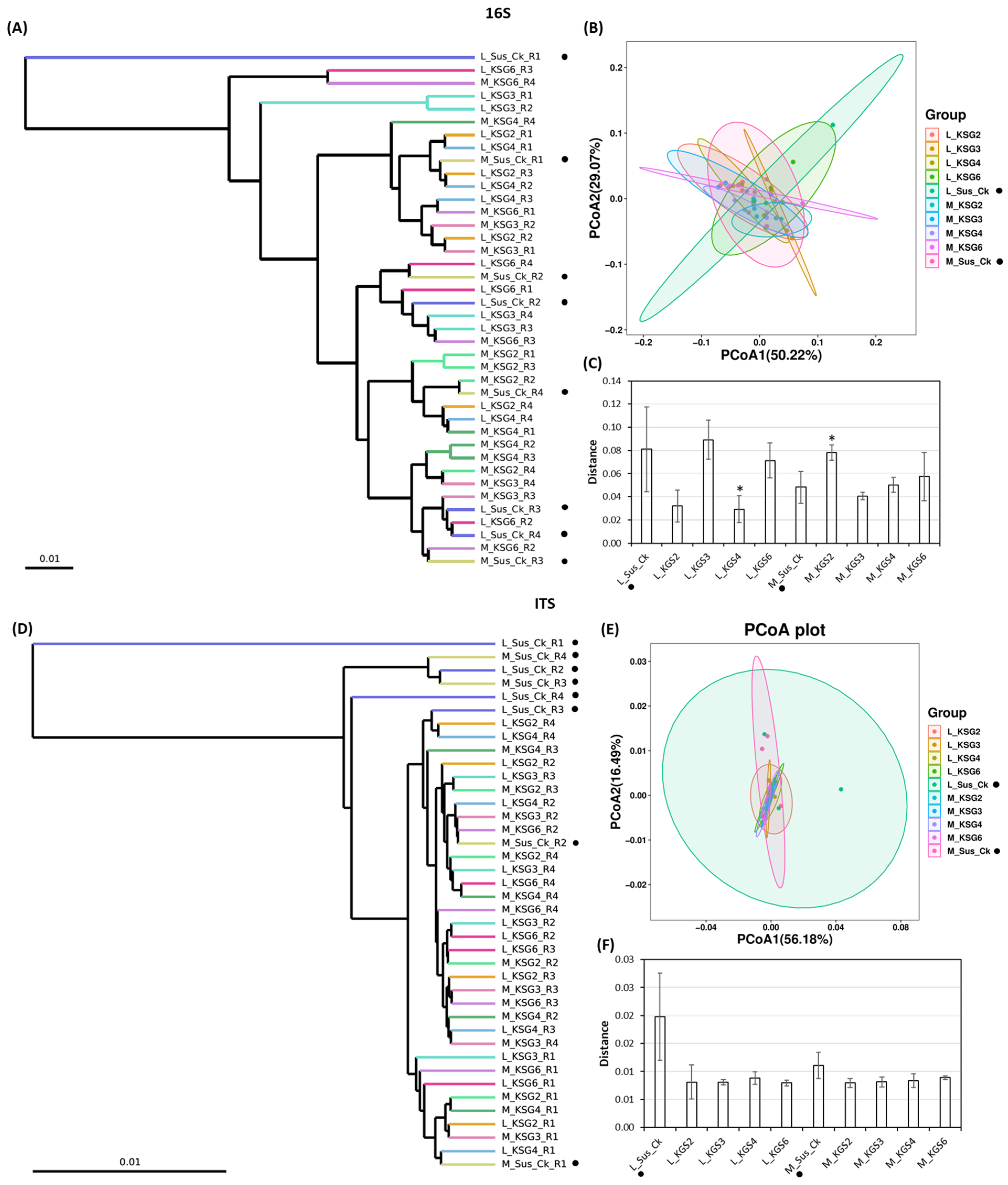 Ijms 25 12681 g002 Ijms 25 12681 g002